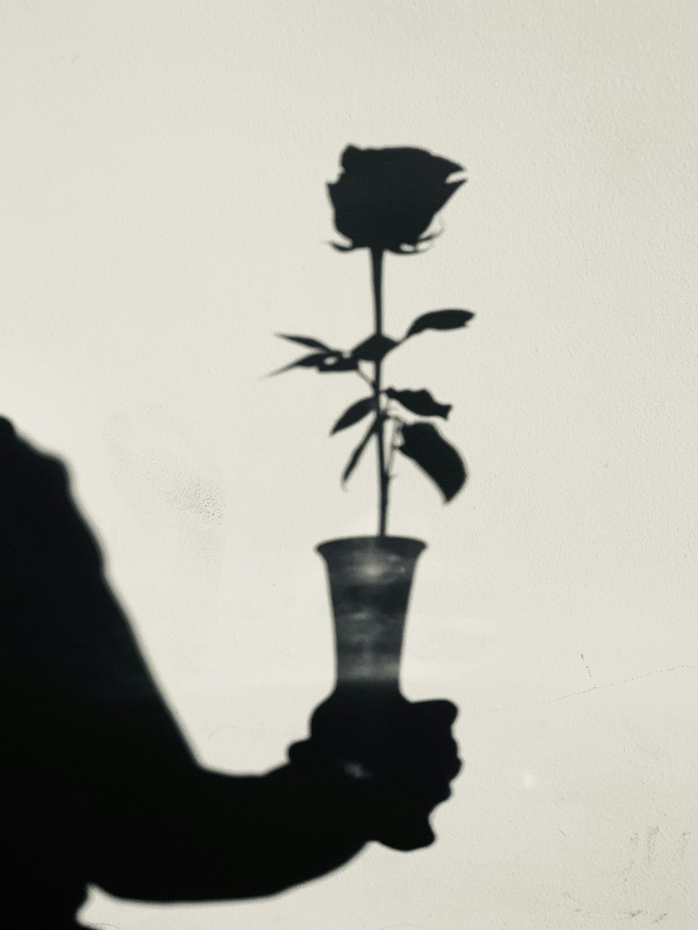 fiore nero in vaso nero