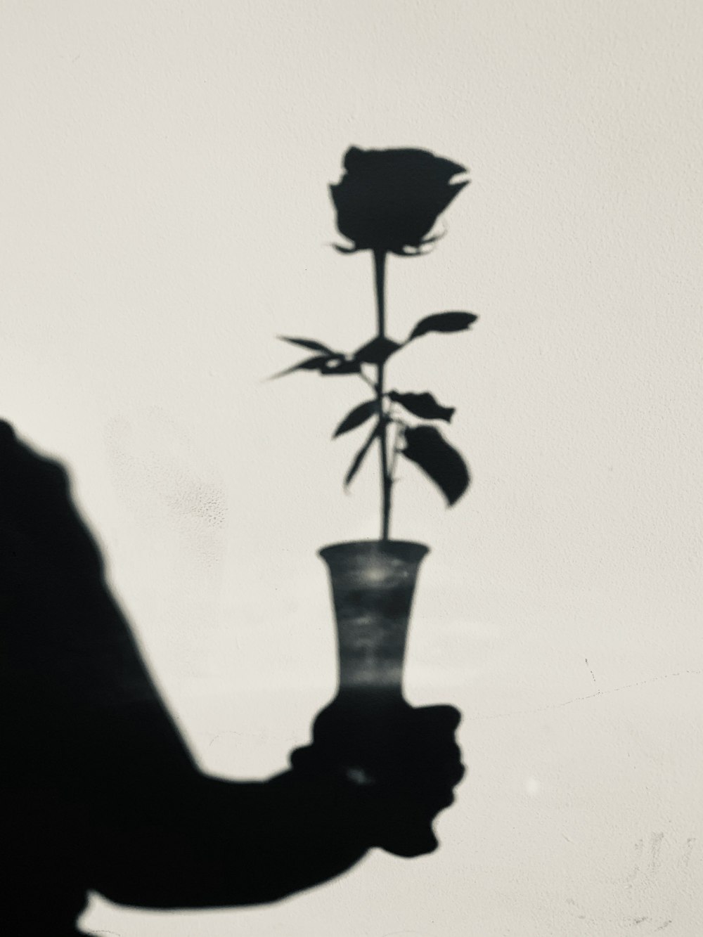 black flower in black vase