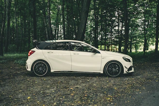 white sedan on forest during daytime