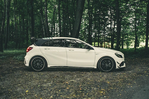 white sedan on forest during daytime