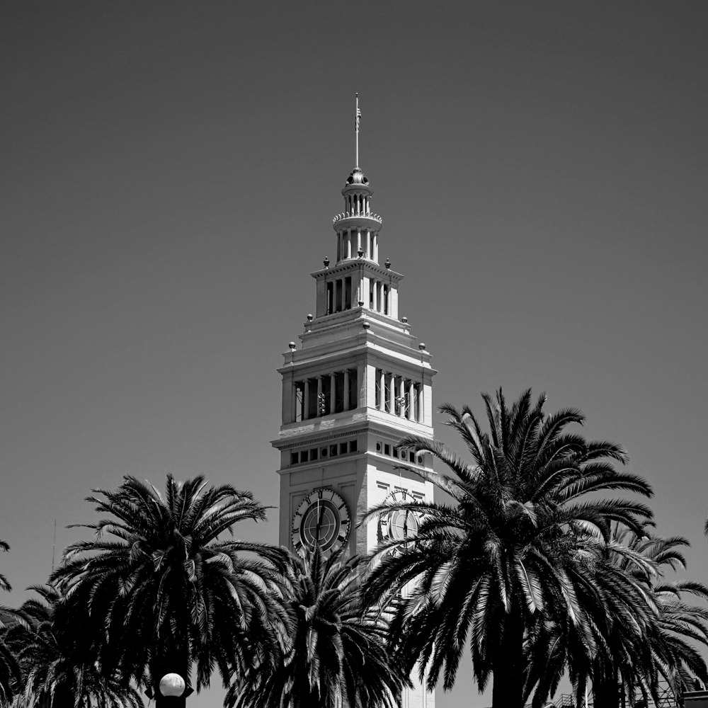 grayscale photo of concrete building