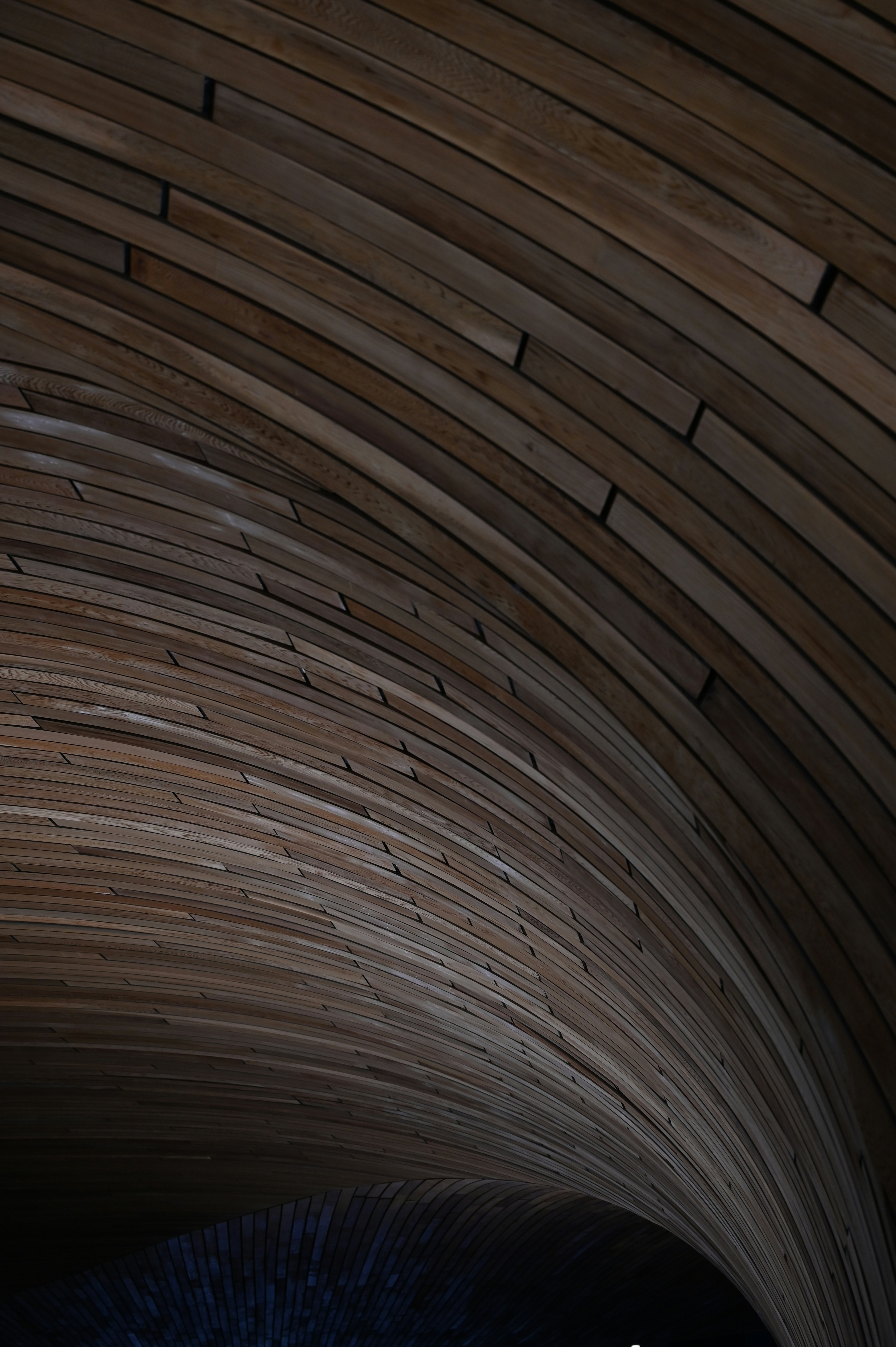 Photo by ryunosuke_kikuno