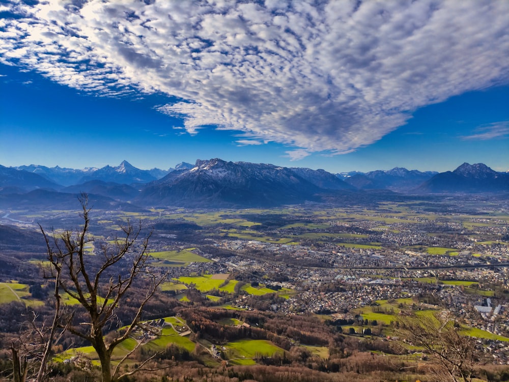 green trees and mountains under white clouds and blue sky during daytime