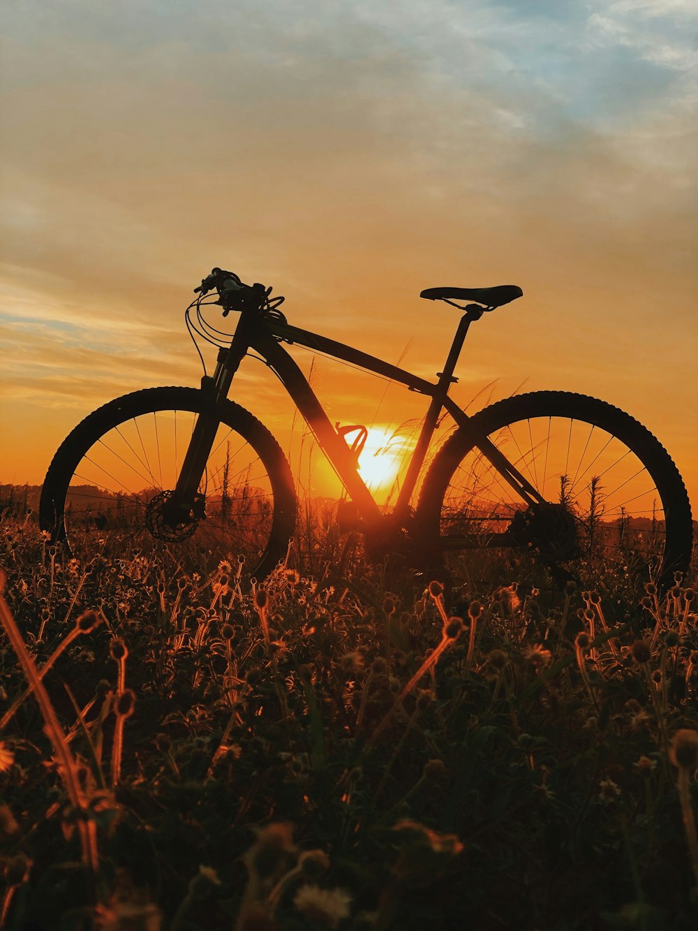 black mountain bike on brown grass field during sunset