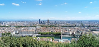 Visibilité Google my business Lyon