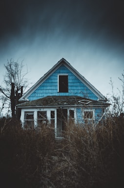 white and blue wooden house