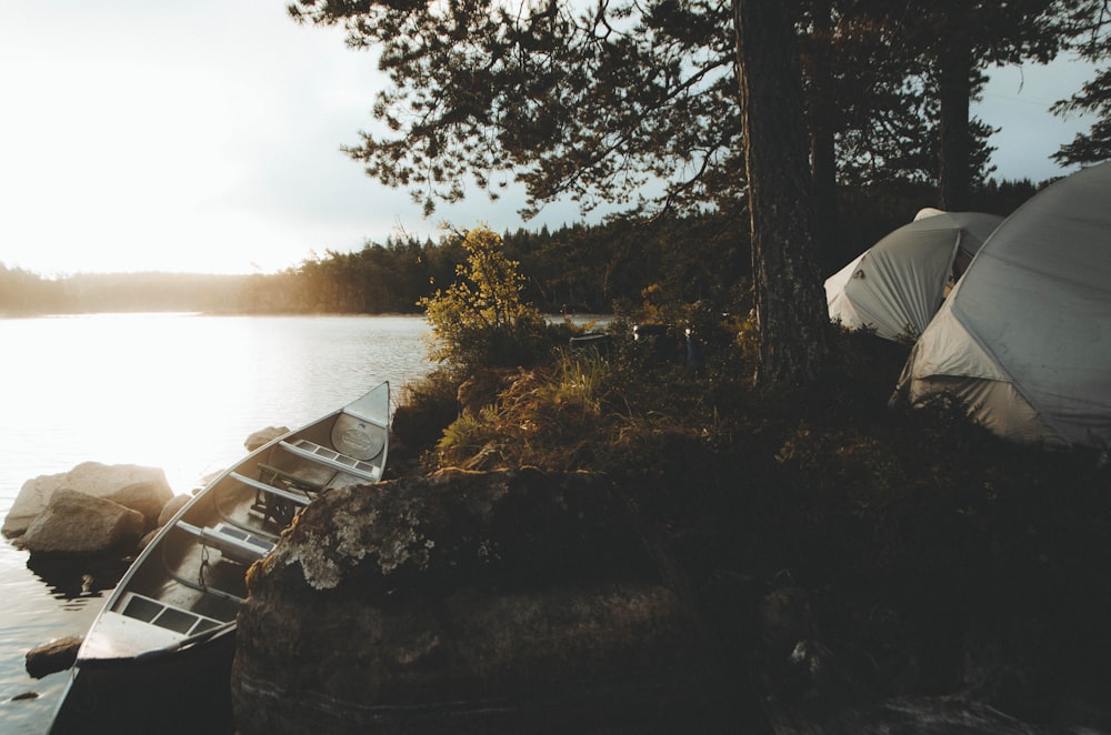 white canoe on body of water during daytime