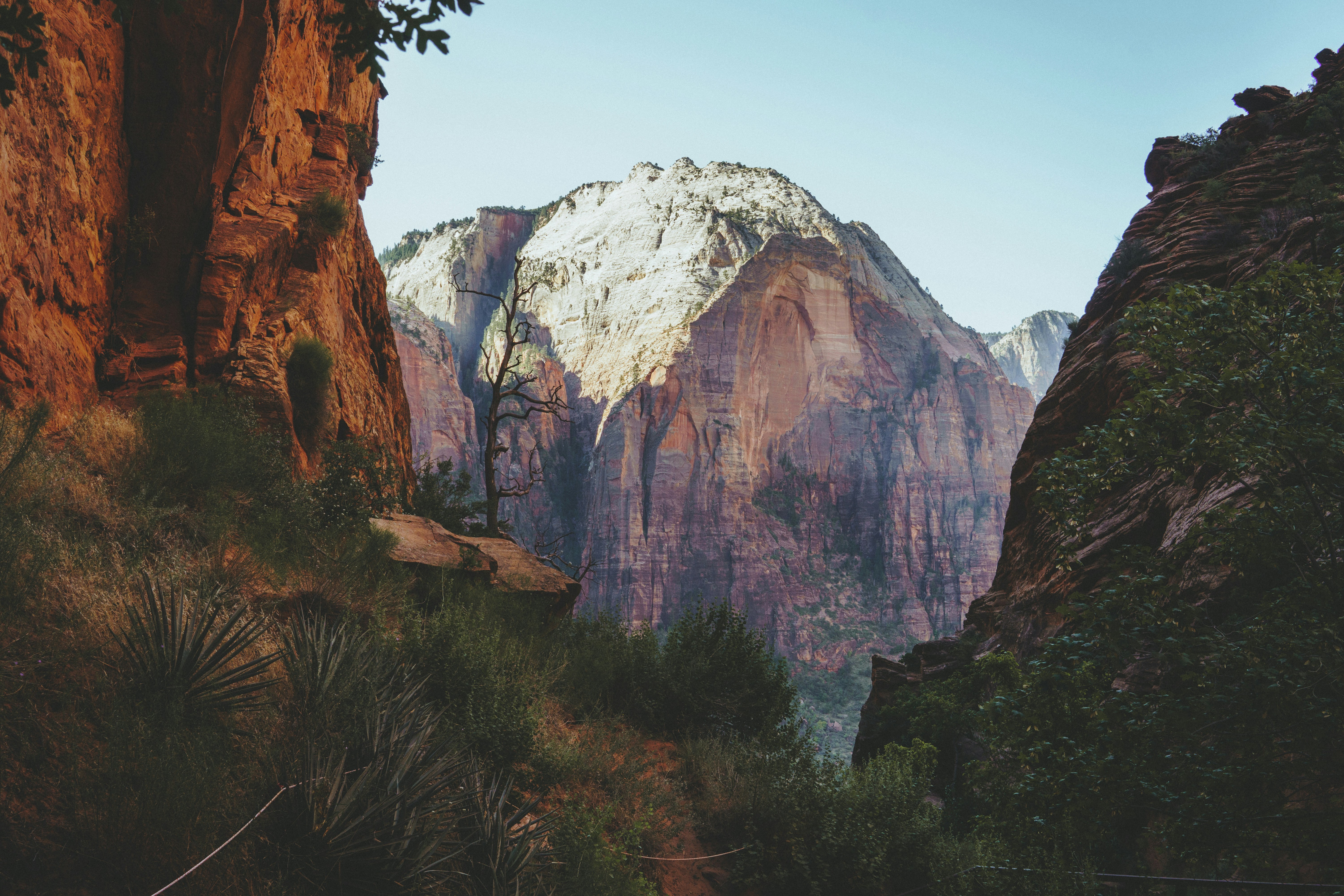 Photo by luis_g_mueller