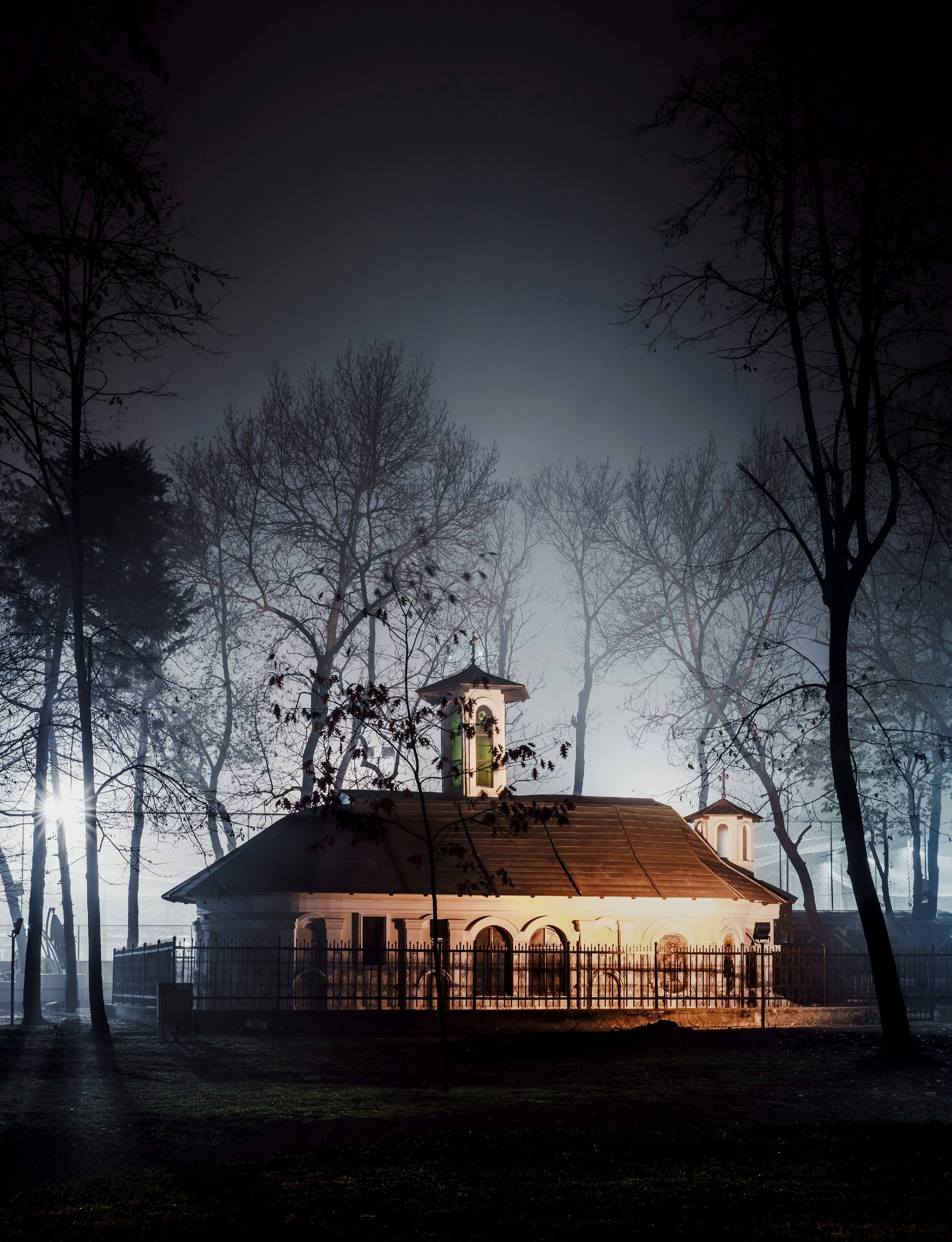 brown wooden house near bare trees during night time