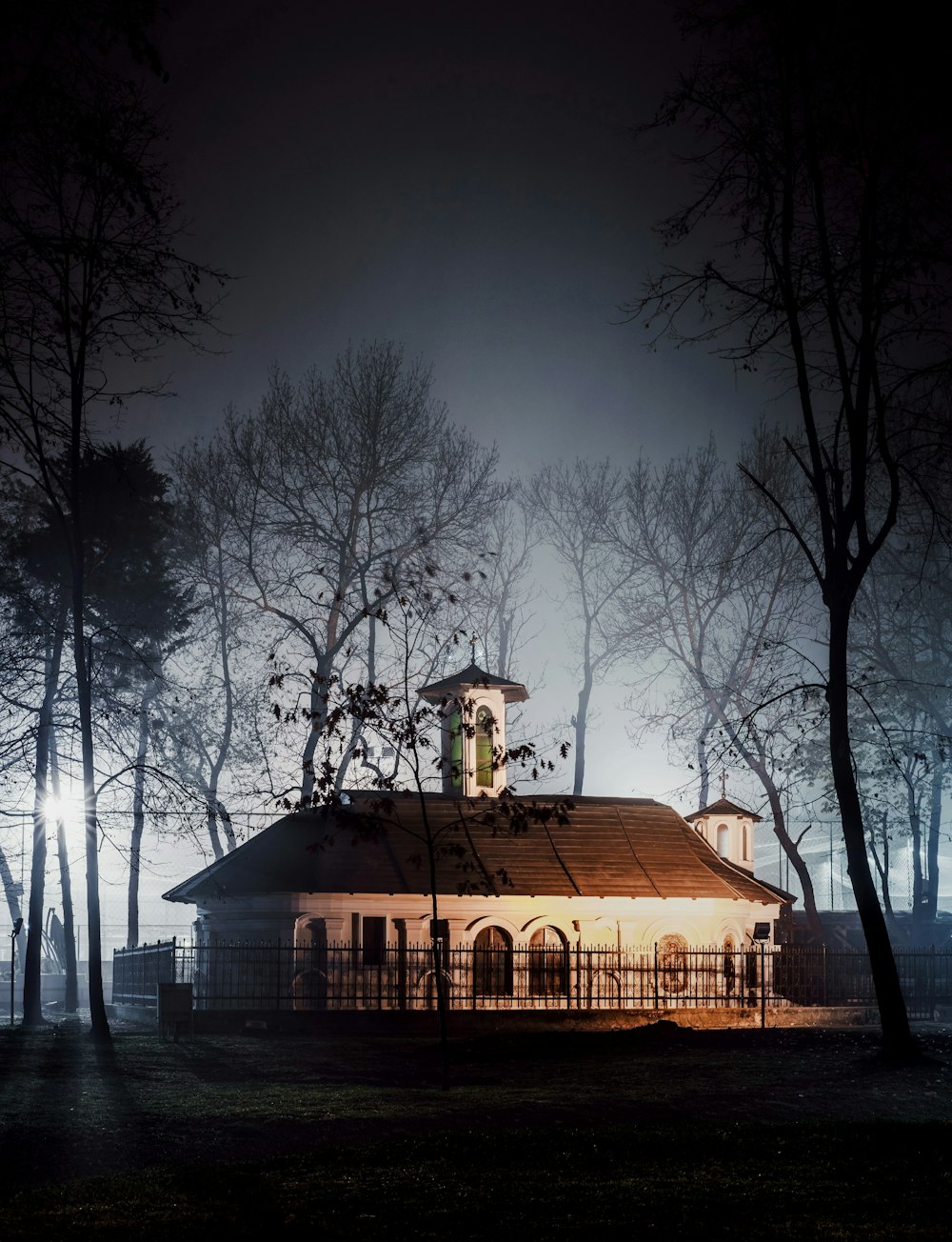 brown wooden house near bare trees during night time
