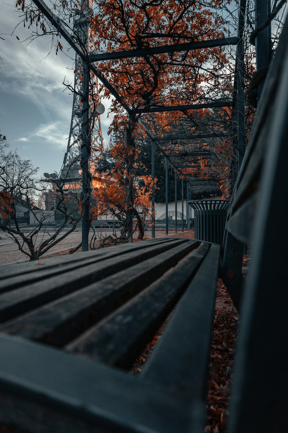 brown trees beside gray steel fence under cloudy sky during daytime