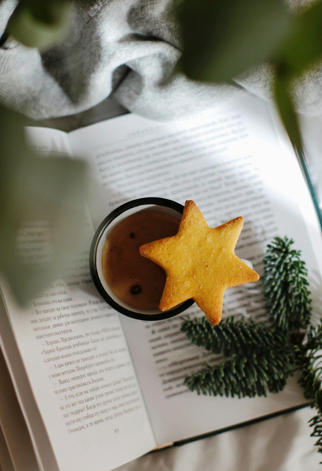 brown star shaped cookie on white printer paper