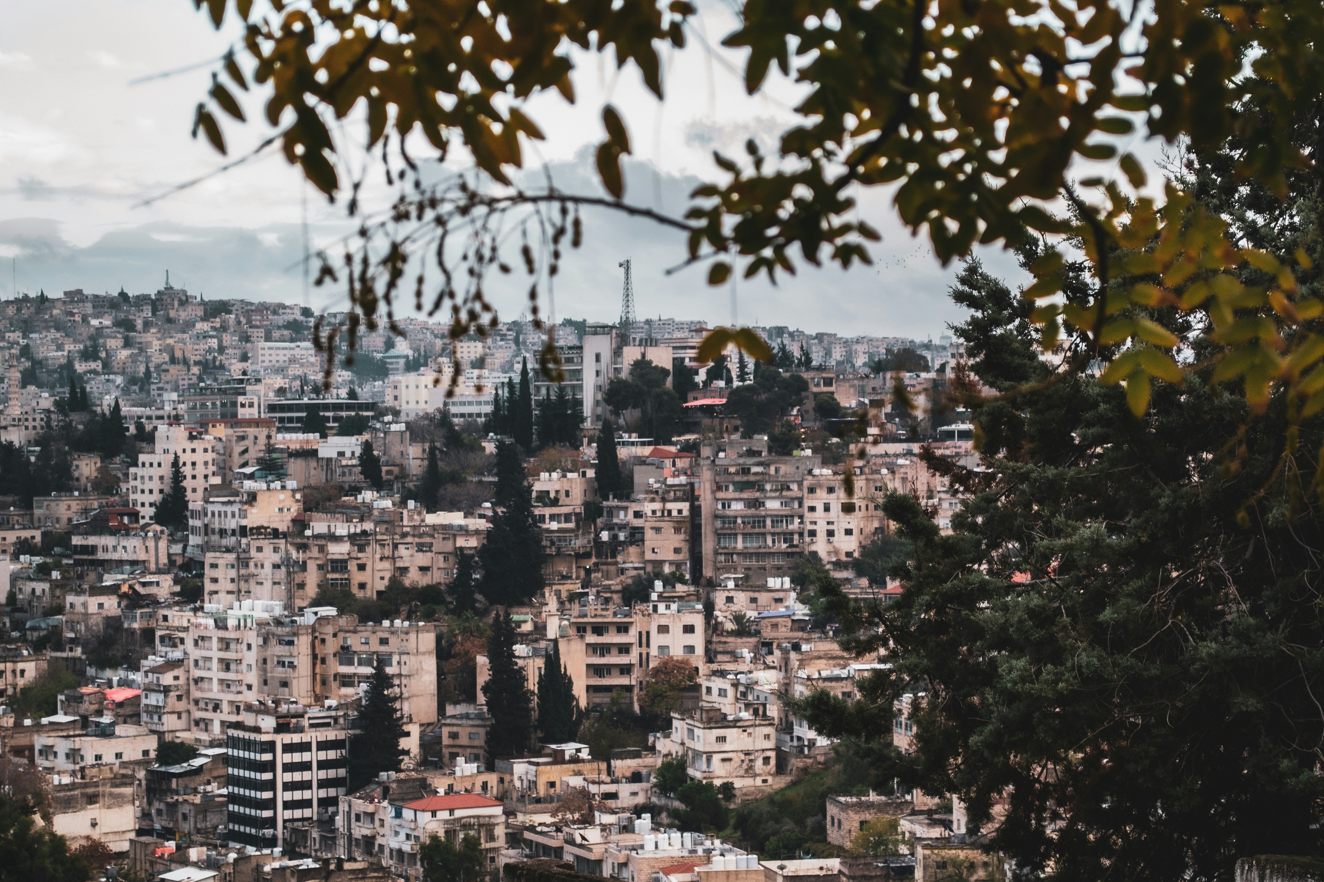 city with high rise buildings during daytime