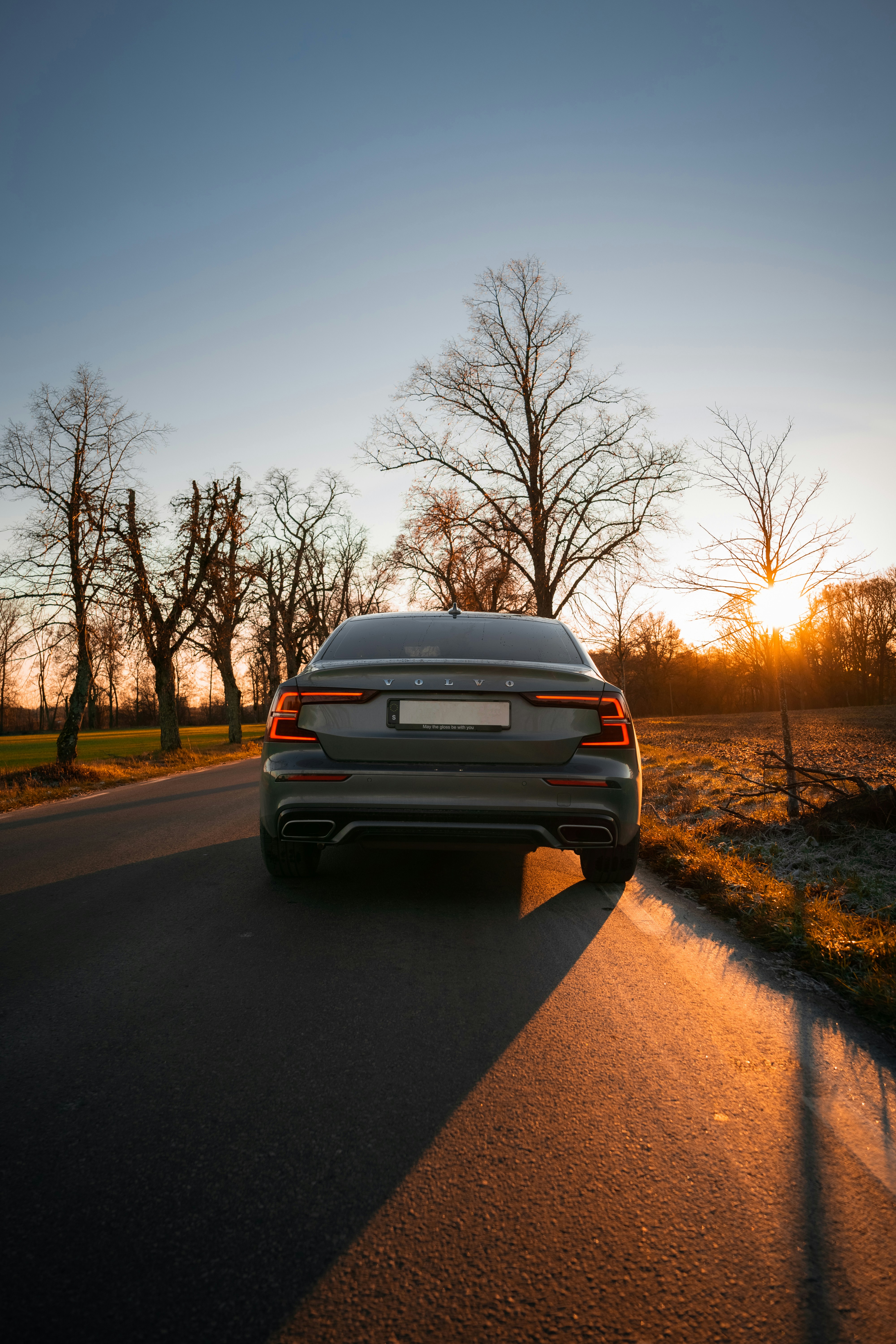 Photo by isakpetterssonfoto