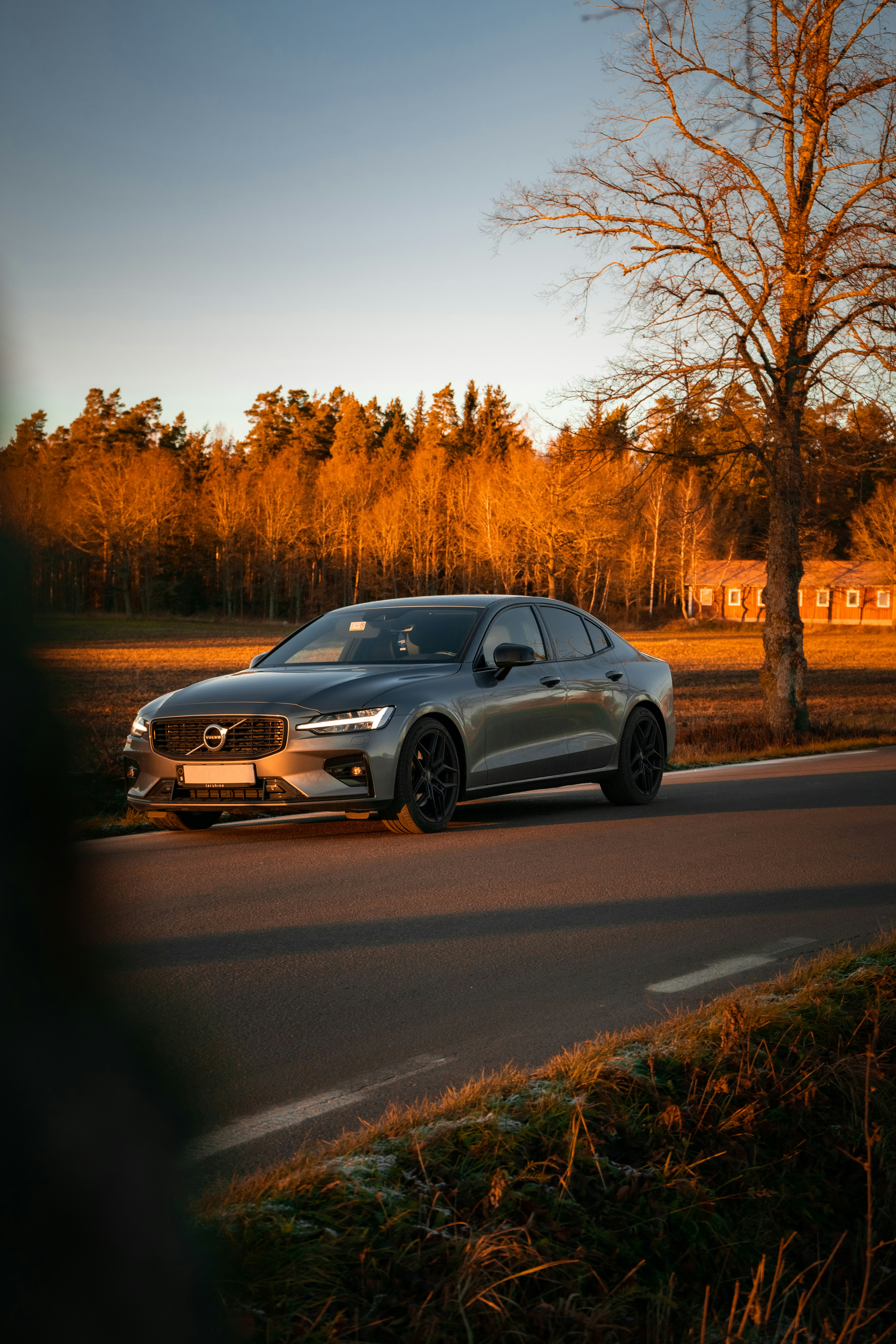 Photo by isakpetterssonfoto