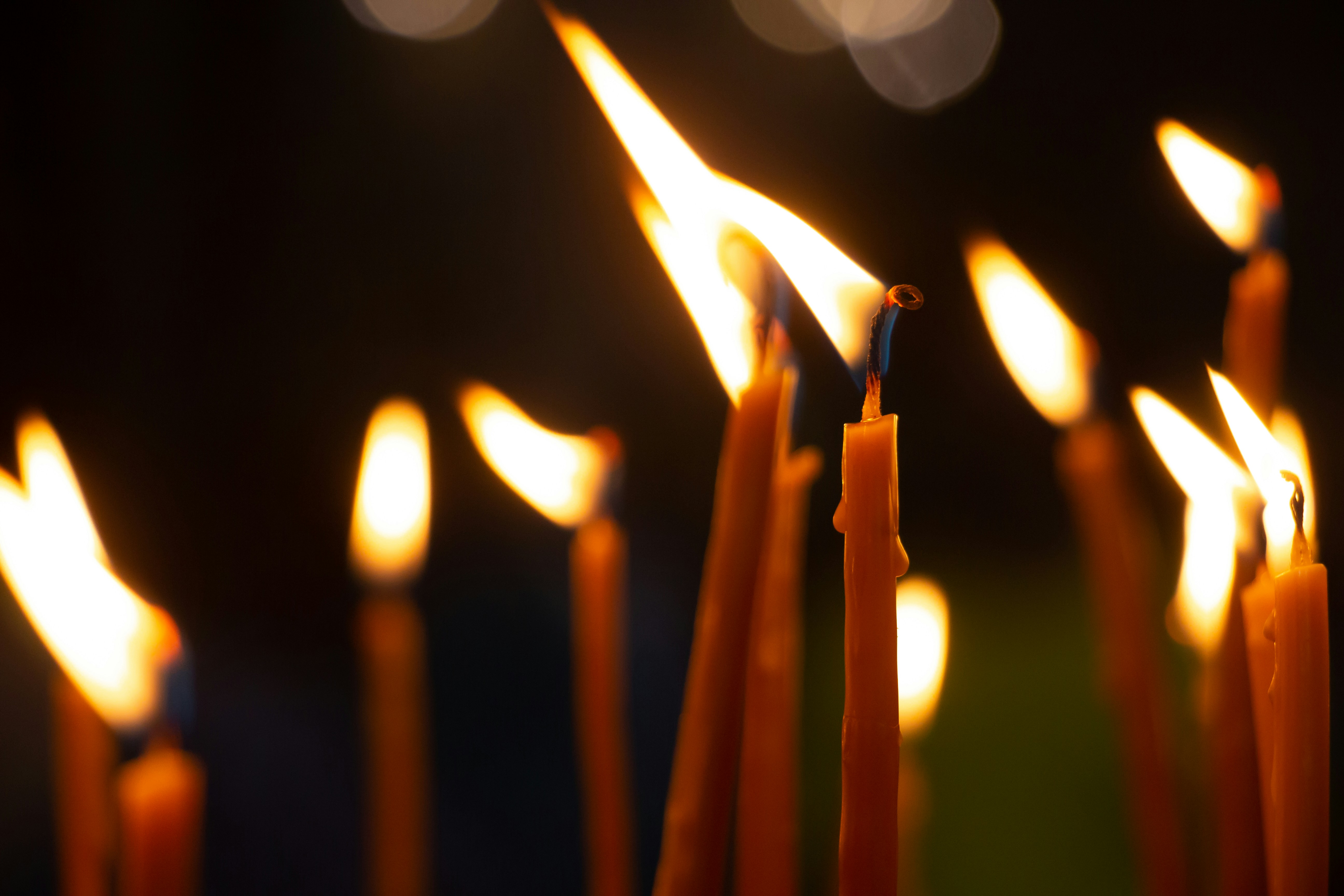 Photo by soroushzargar