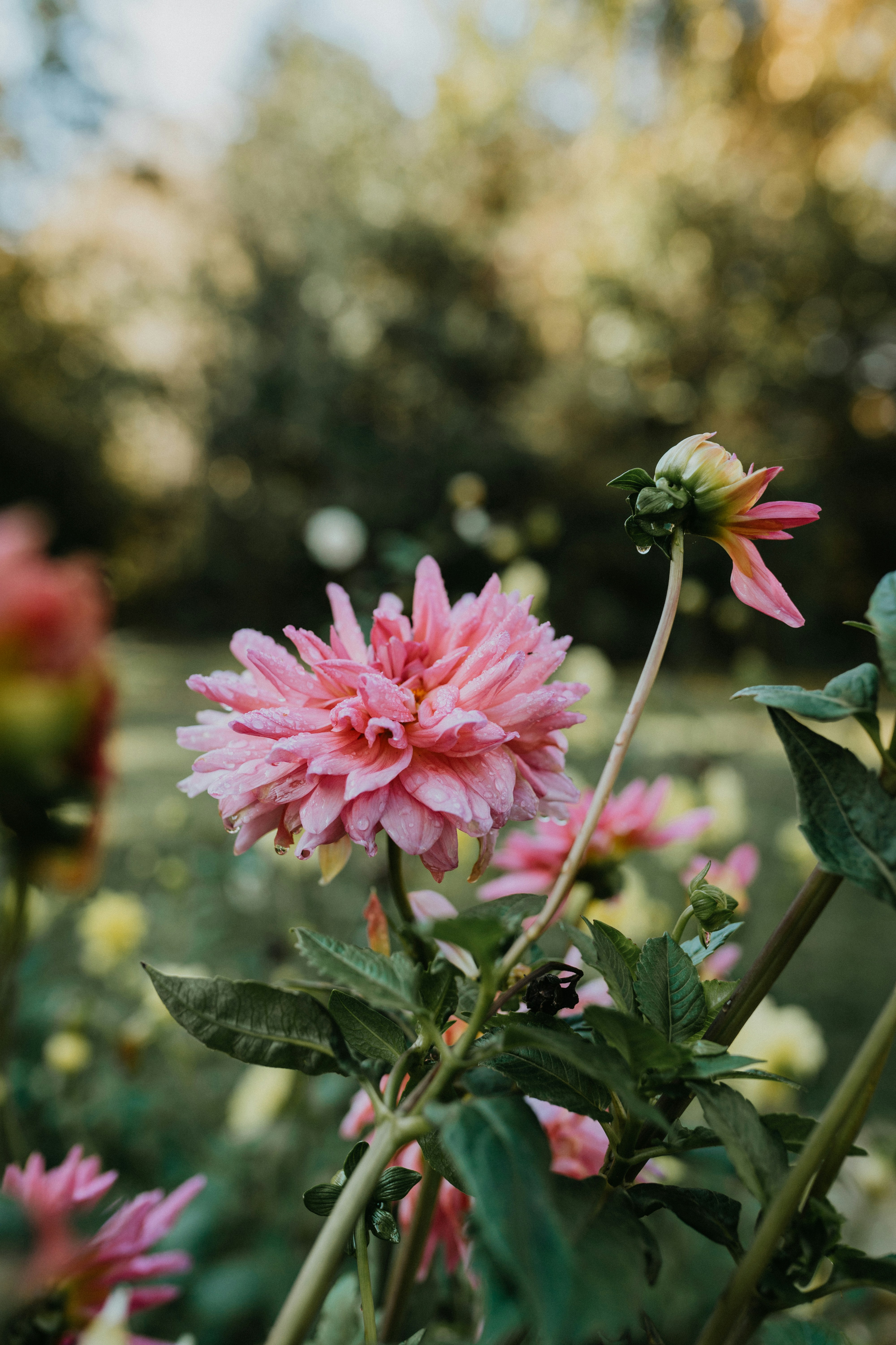 Photo by marinareich