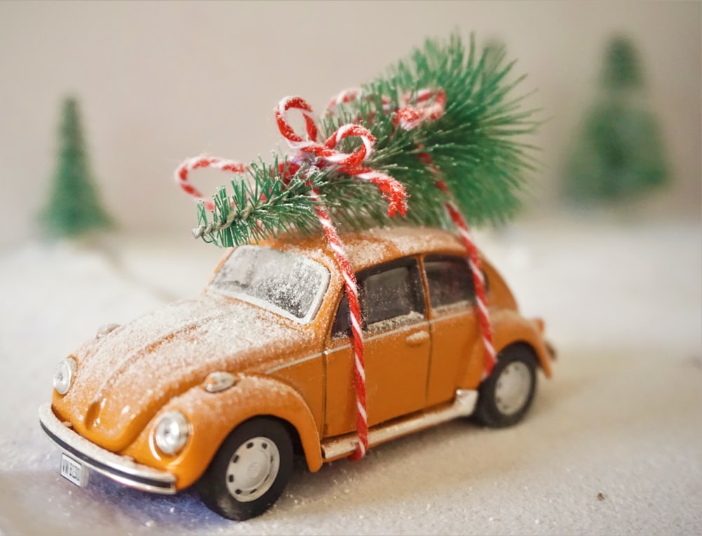 orange volkswagen beetle on road during daytime