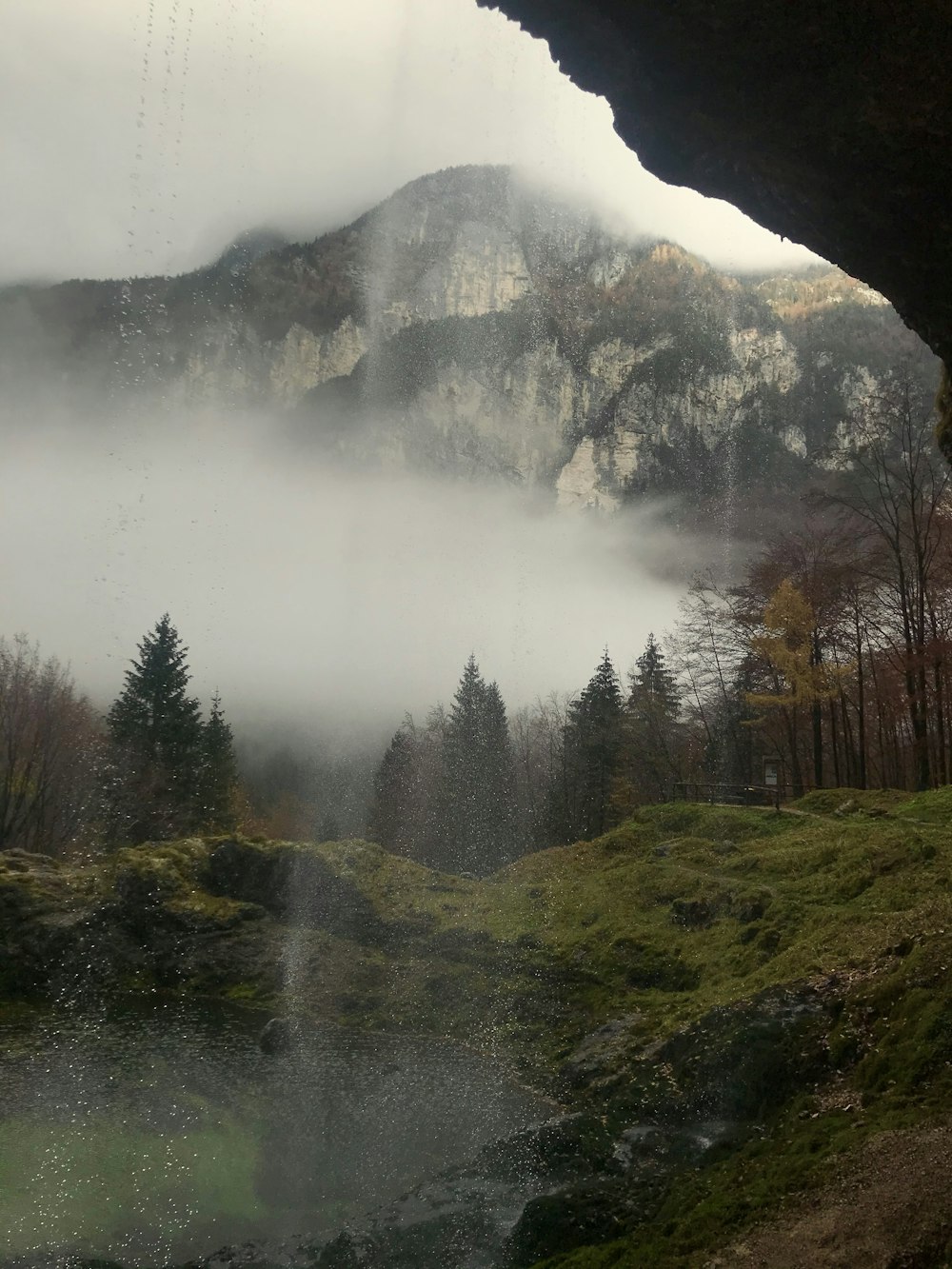 green trees near lake during foggy day