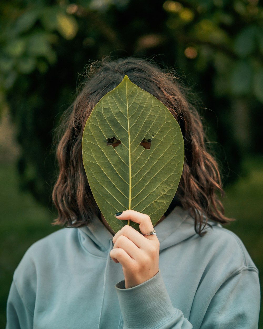 woman in gray long sleeve shirt holding green leaf