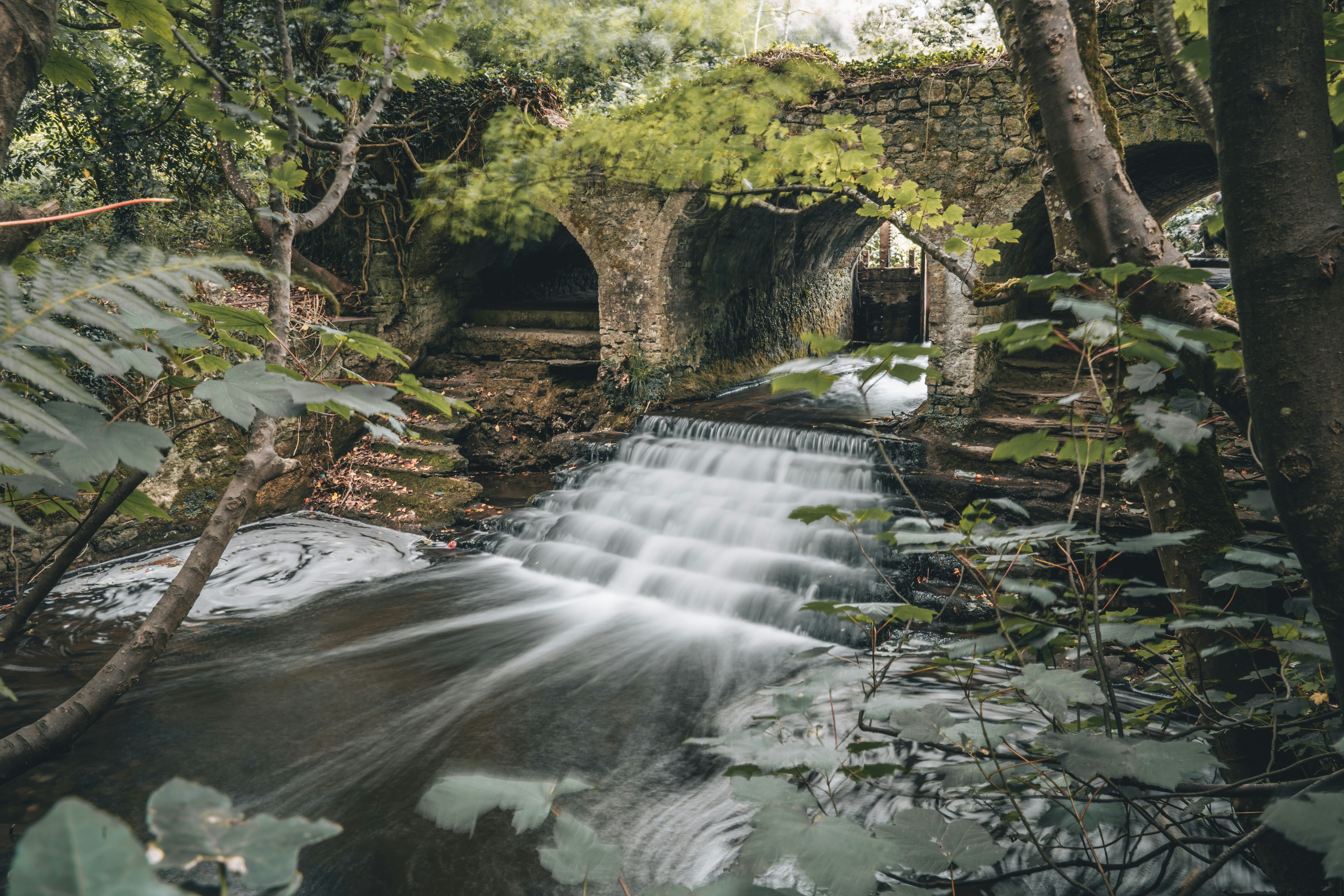 Photo by majesticlukas