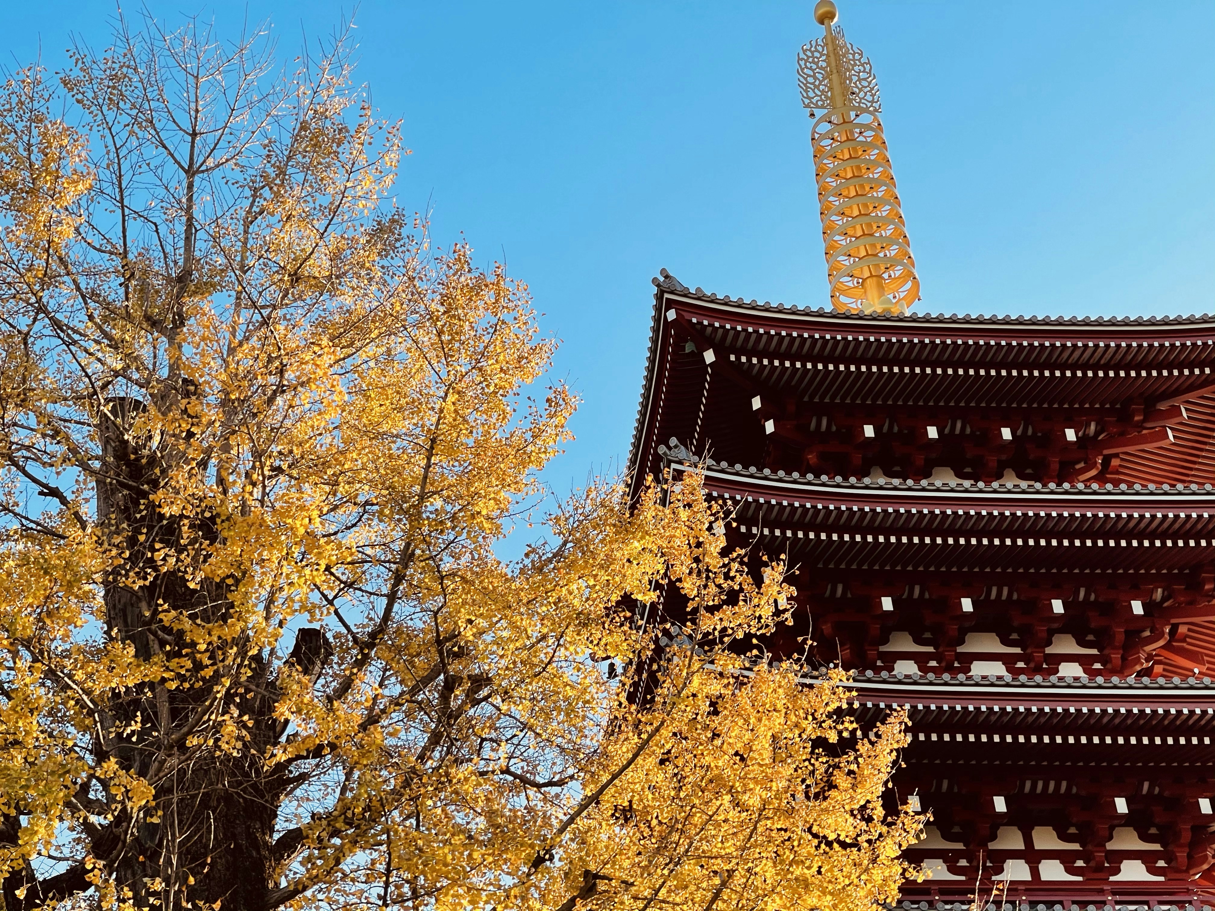 brown and red temple under blue sky during daytime, 