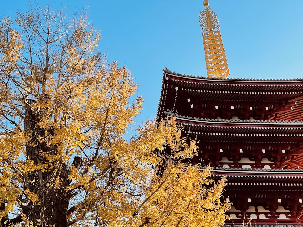 brown and red temple under blue sky during daytime