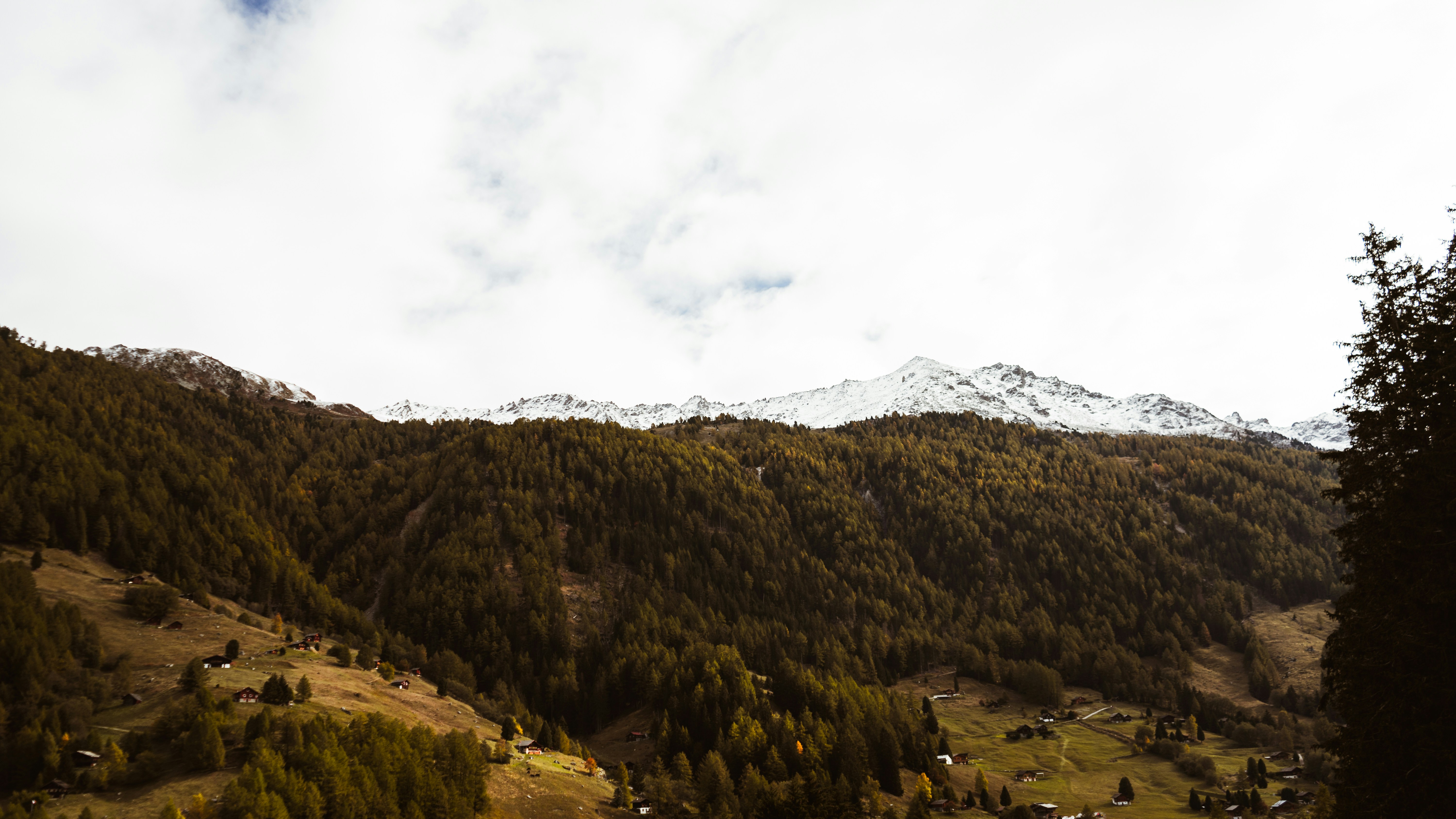 Photo by virussinside