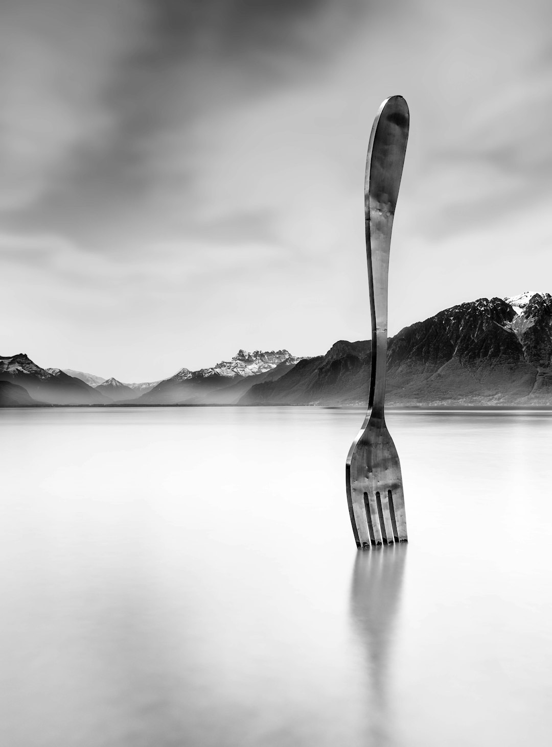 grayscale photo of a fork on a lake