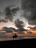 A serene equestrian scene with a rider and horse silhouetted at sunset.