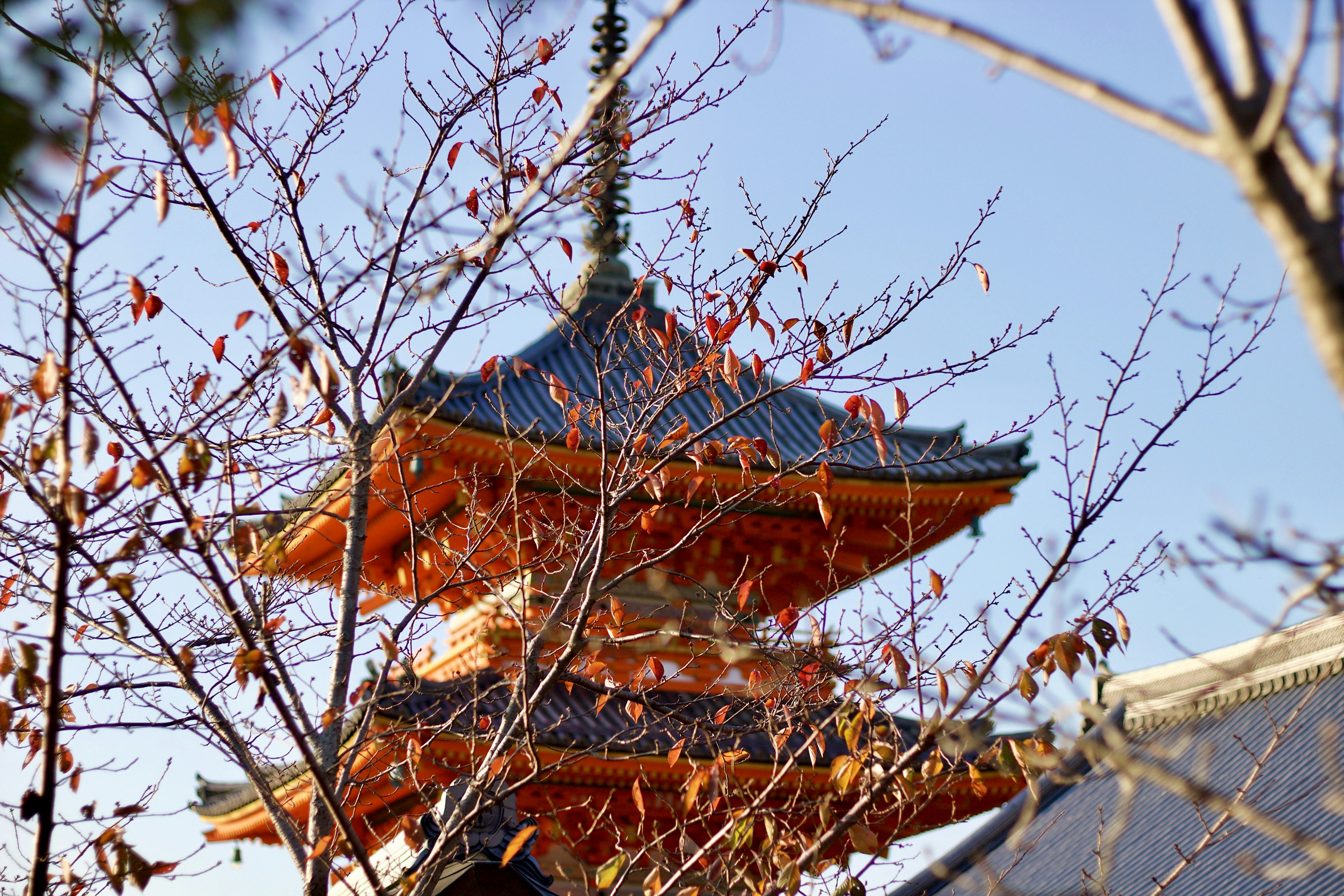 Photo by nicolasbriot