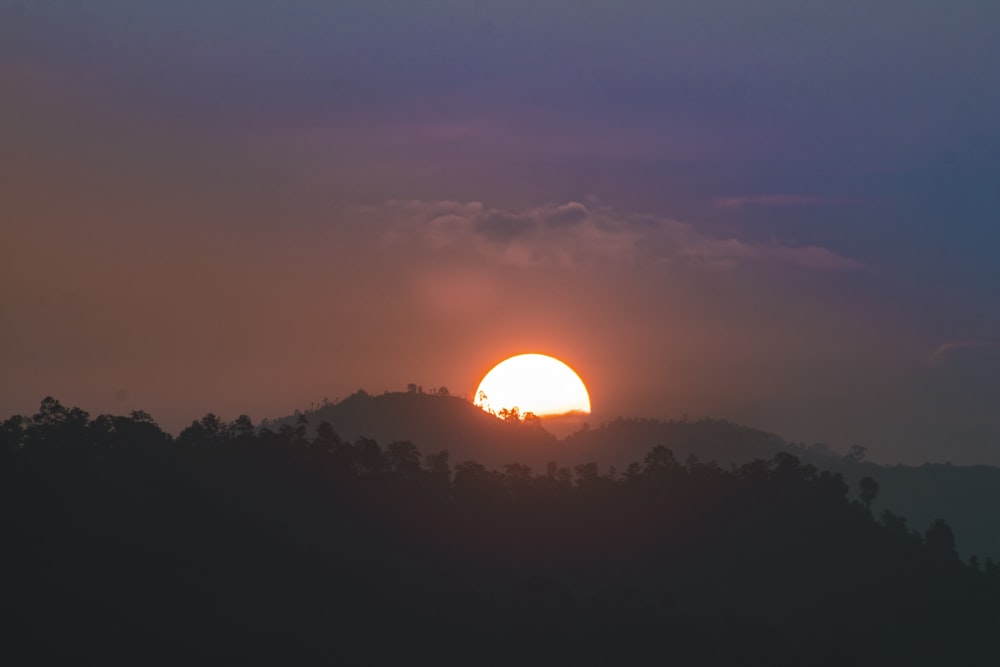 sun setting over the forest