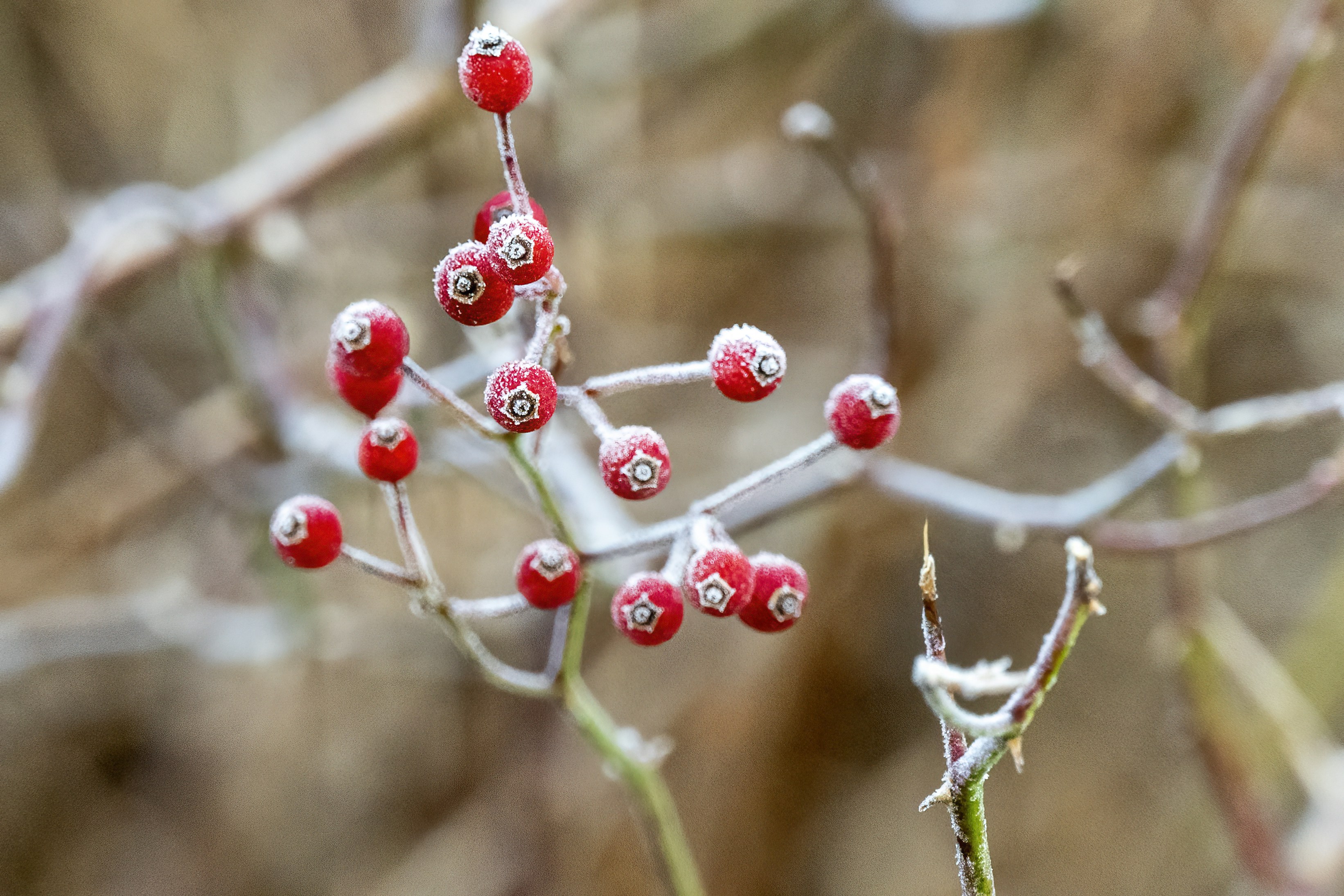 Photo by cholewinski