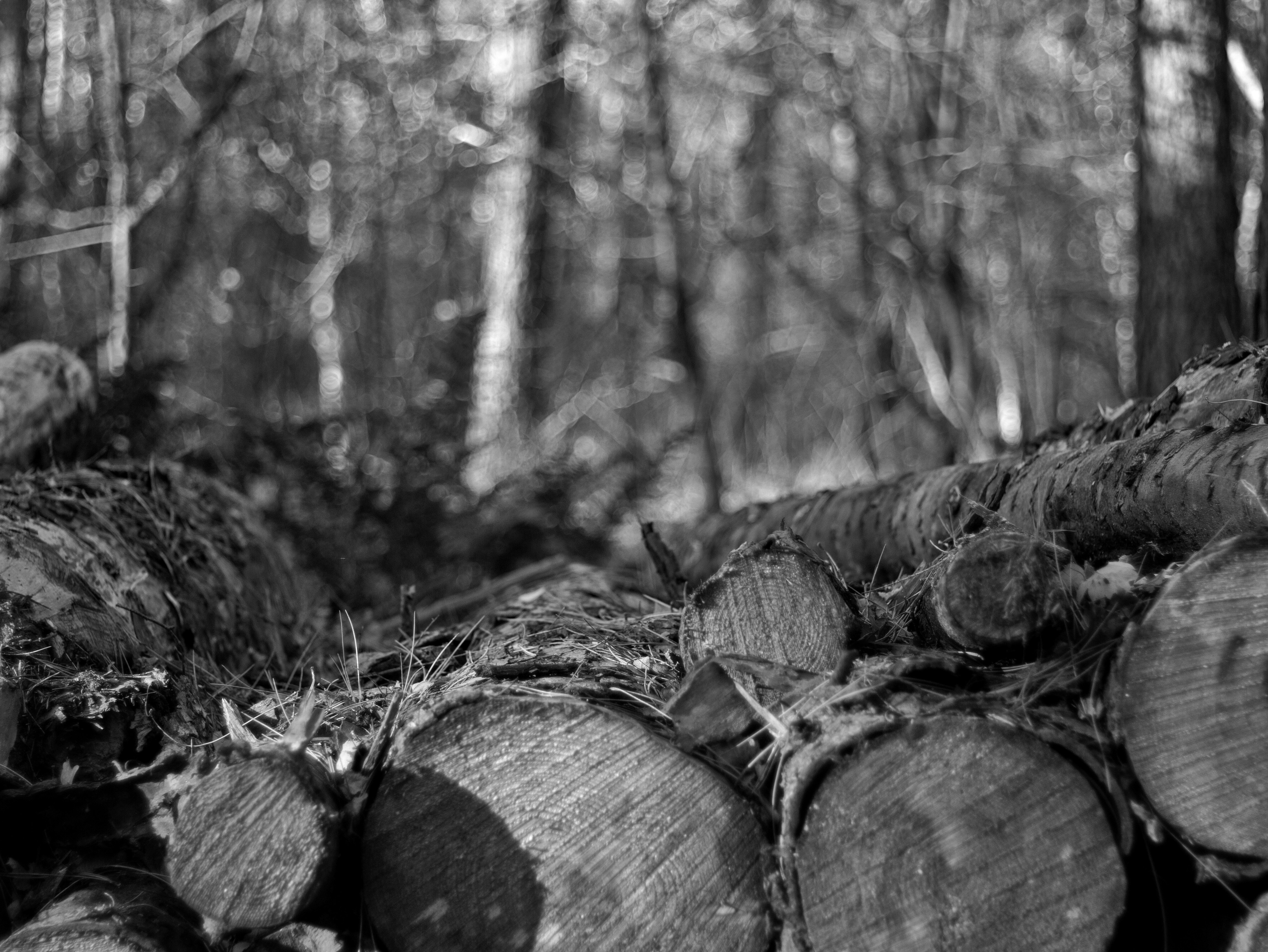 EventSentry Light Monitoring and logging