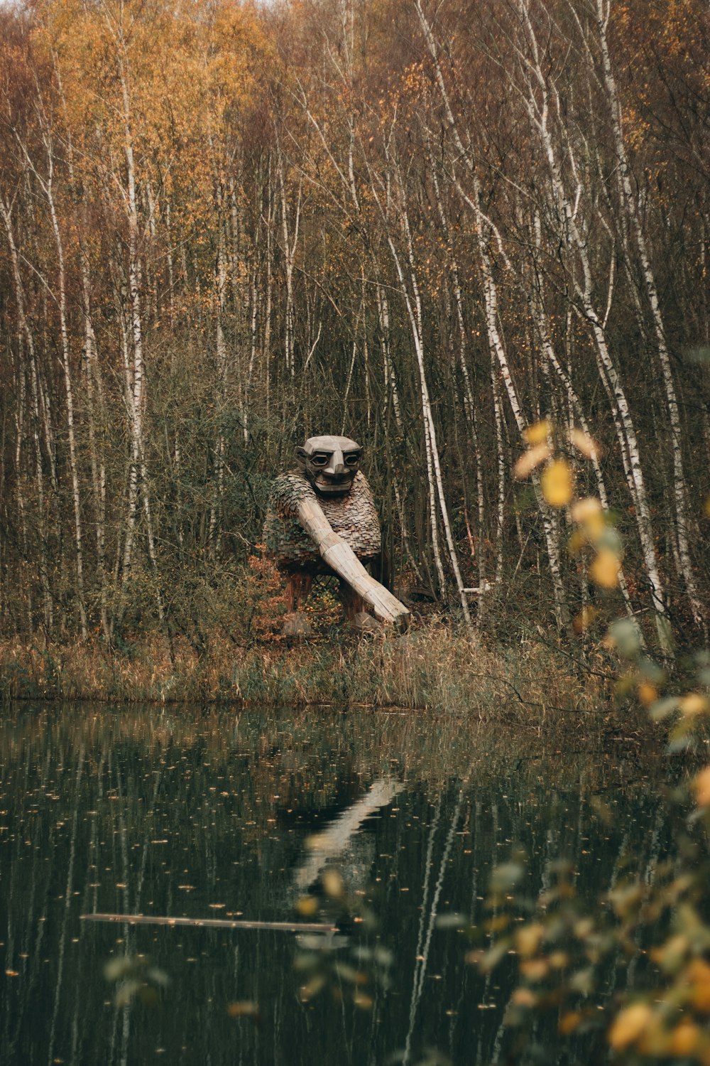 white and black short coated dog on green grass field near body of water during daytime