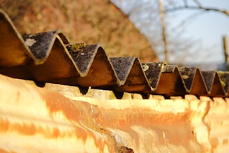 A close-up view of a corrugated metal roof with wavy patterns, set against a blurred backdrop of trees and sky. The roof shows signs of rust and wear.