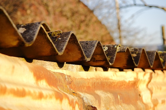 A close-up view of a corrugated metal roof with wavy patterns, set against a blurred backdrop of trees and sky. The roof shows signs of rust and wear.