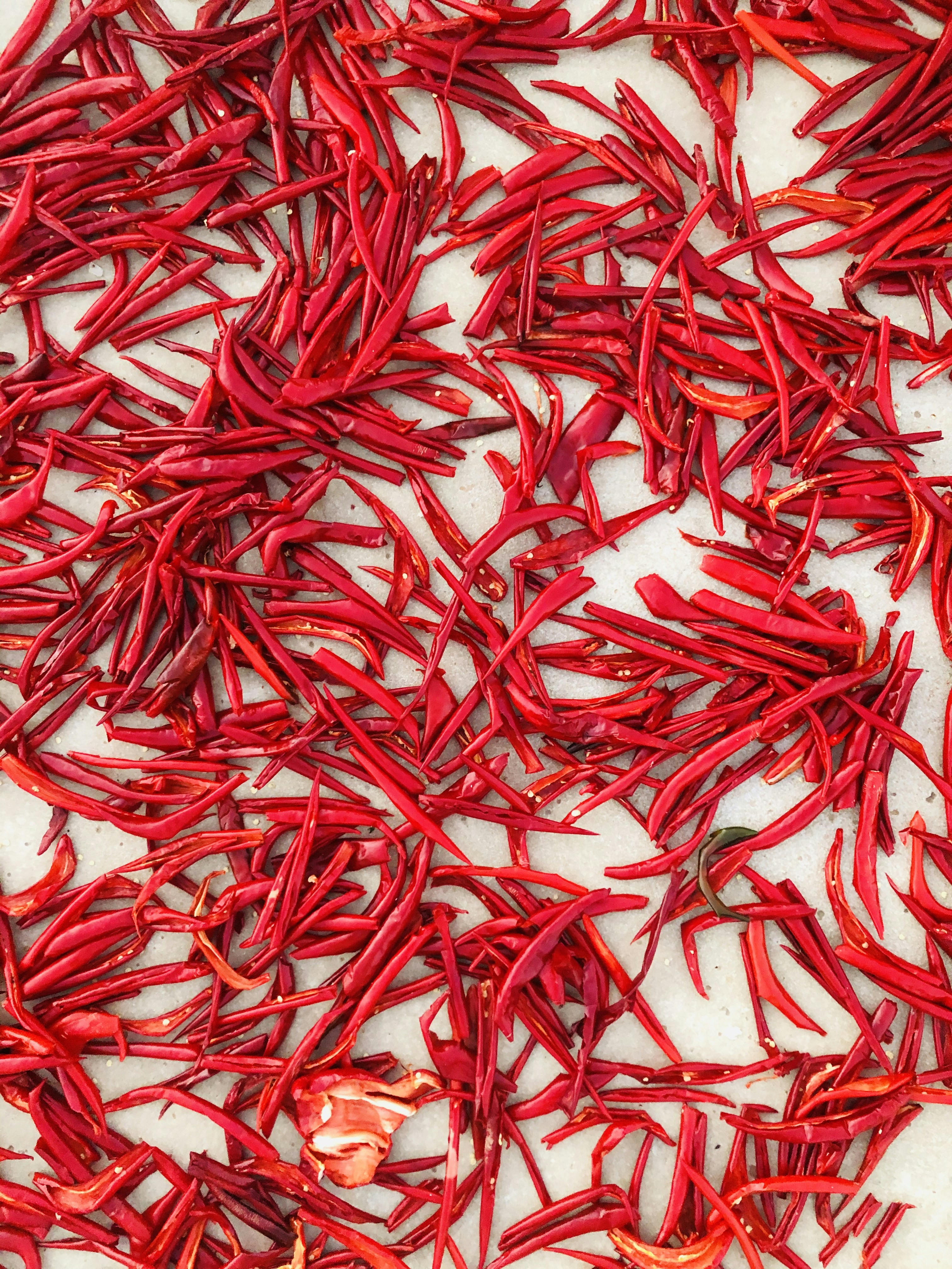 Photo by maleksphotos