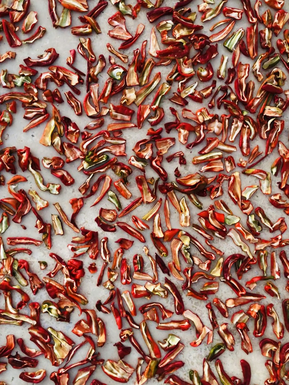 red and white fish on water