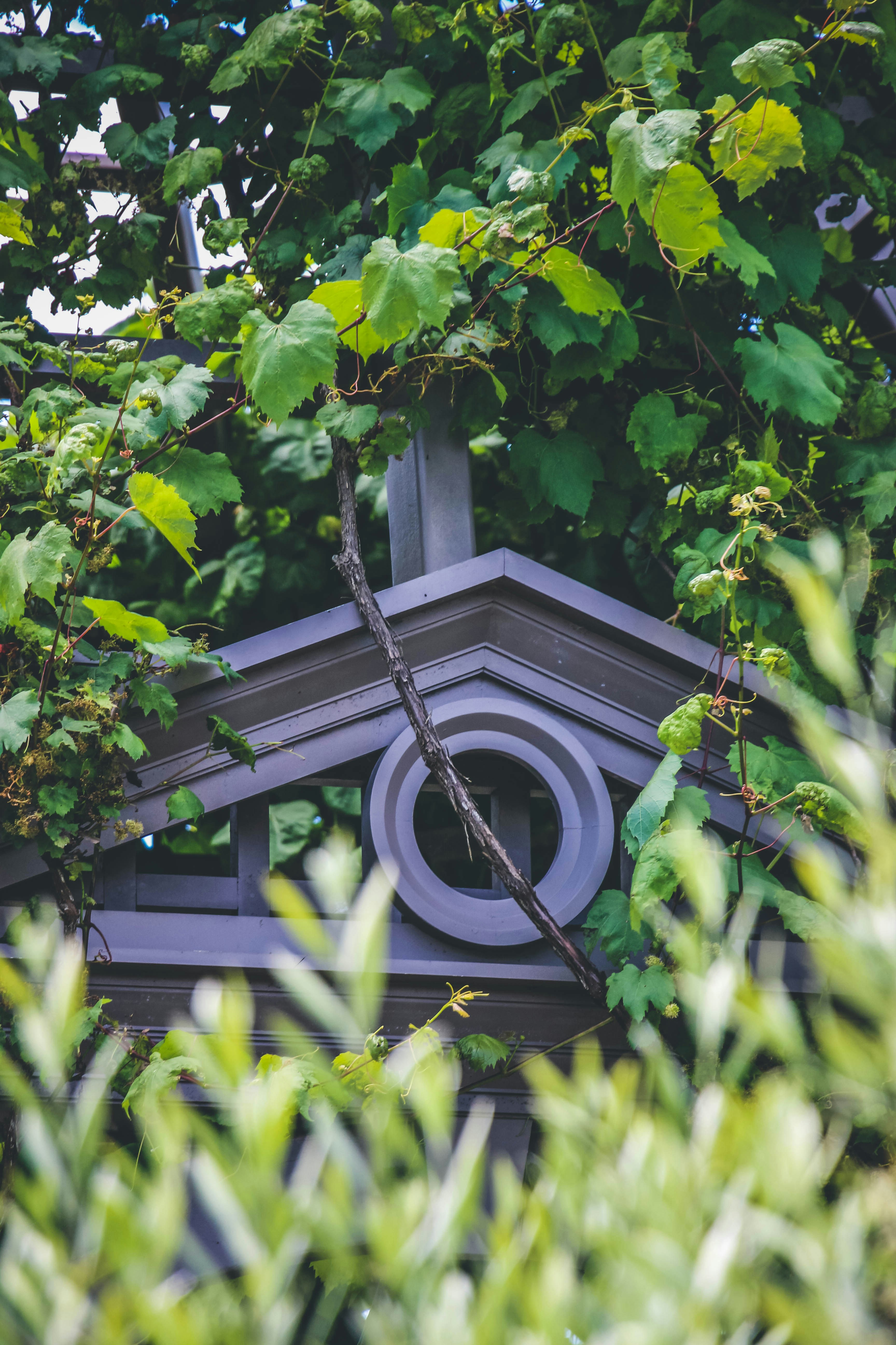 Photo by coffeecurtains