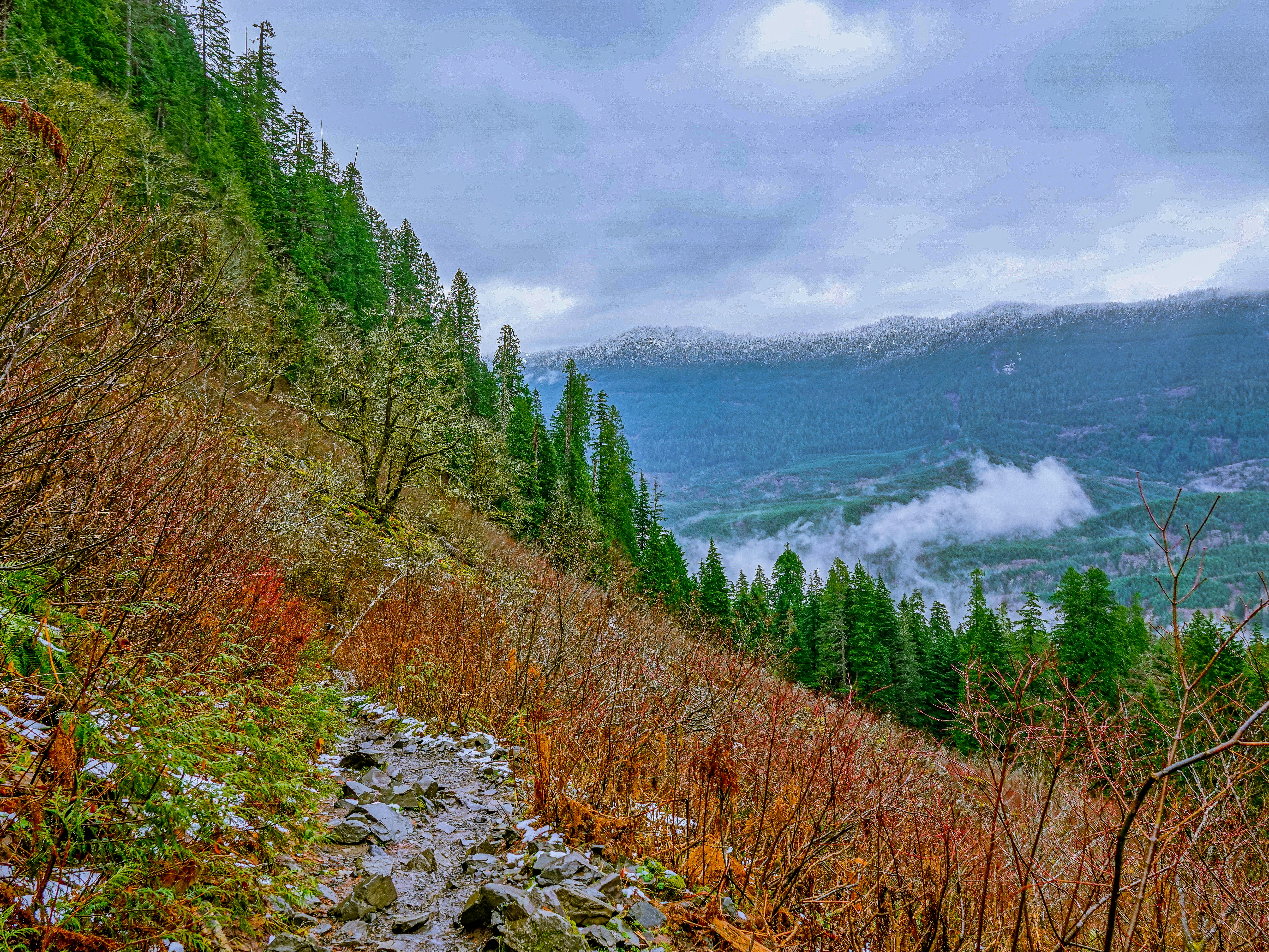 Rocky Mountain trail winding through dense forest and alpine meadows, misty peaks in background