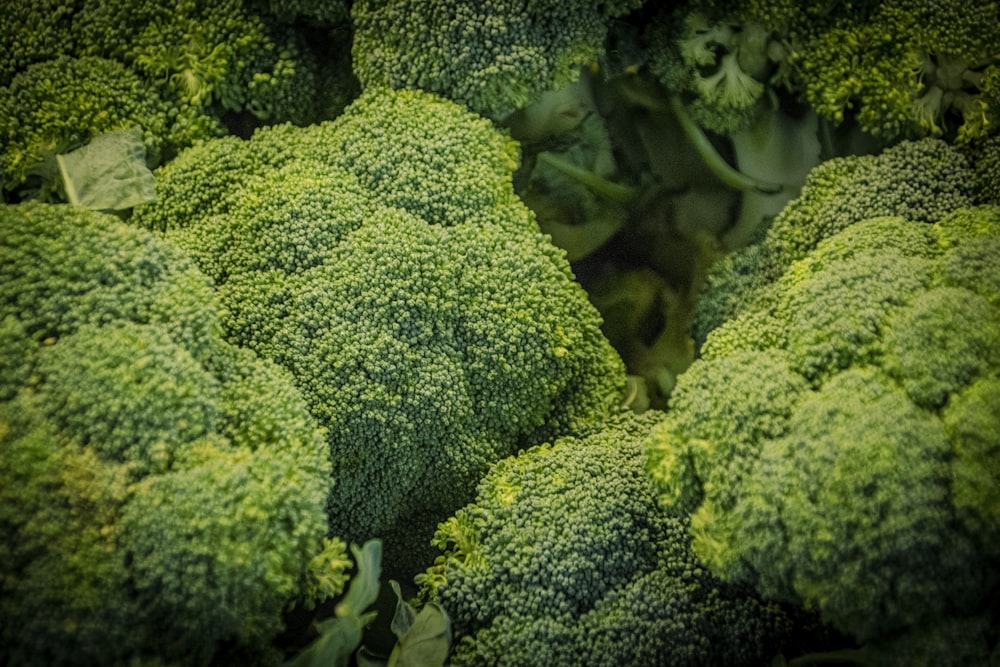 green broccoli in close up photography