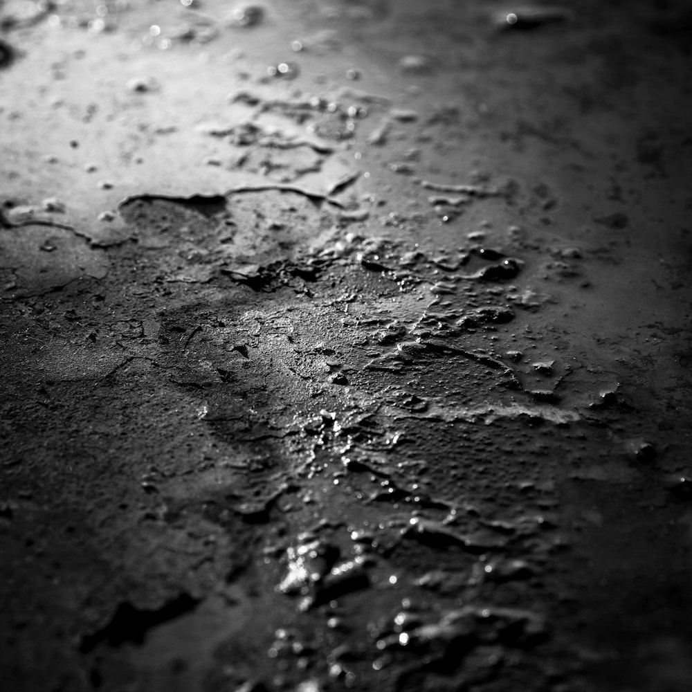 grayscale photo of wet sand
