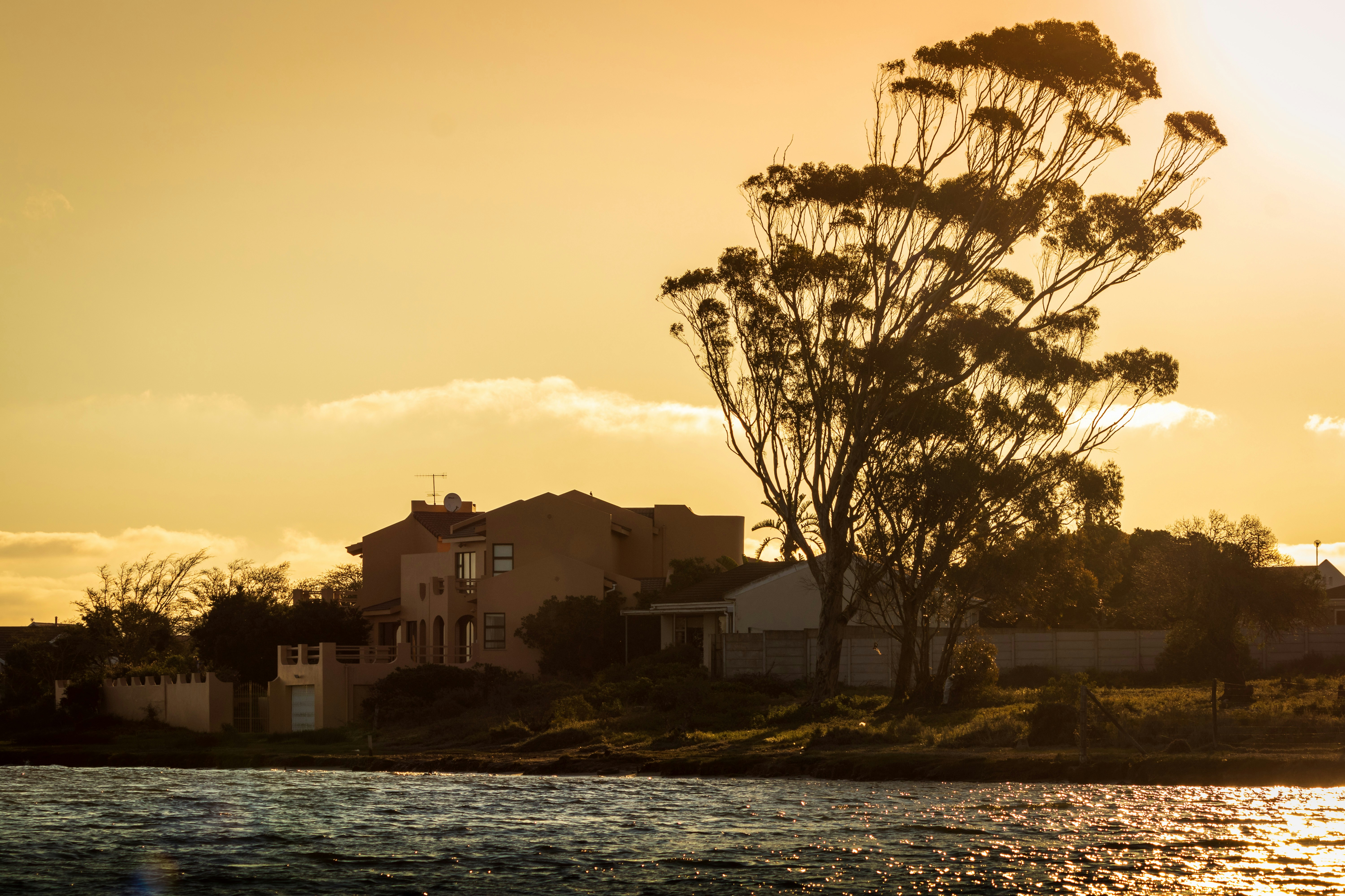 Windswept tree in front of a holiday house on a river at sunset