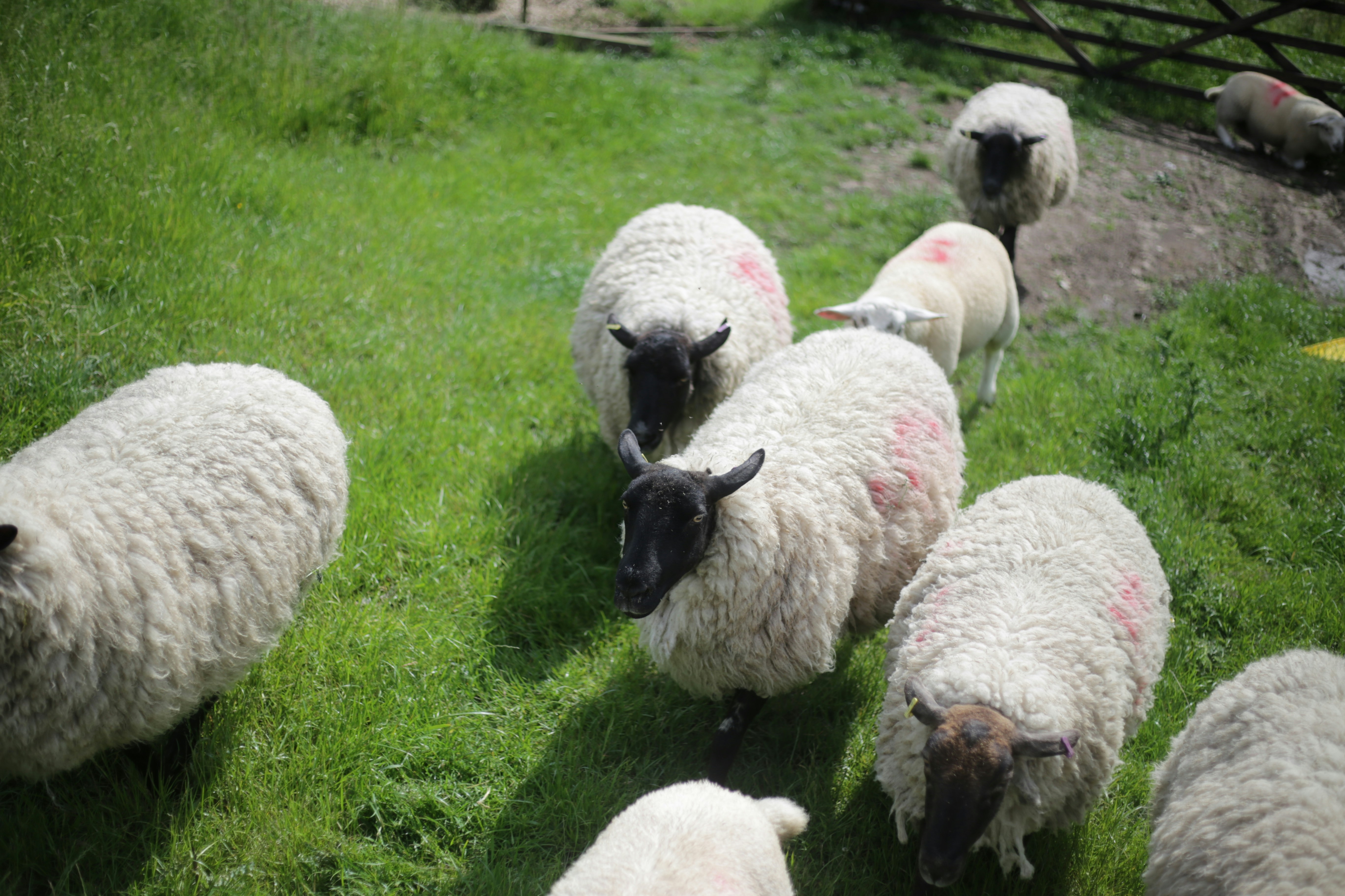 Photo by ben_mansfield