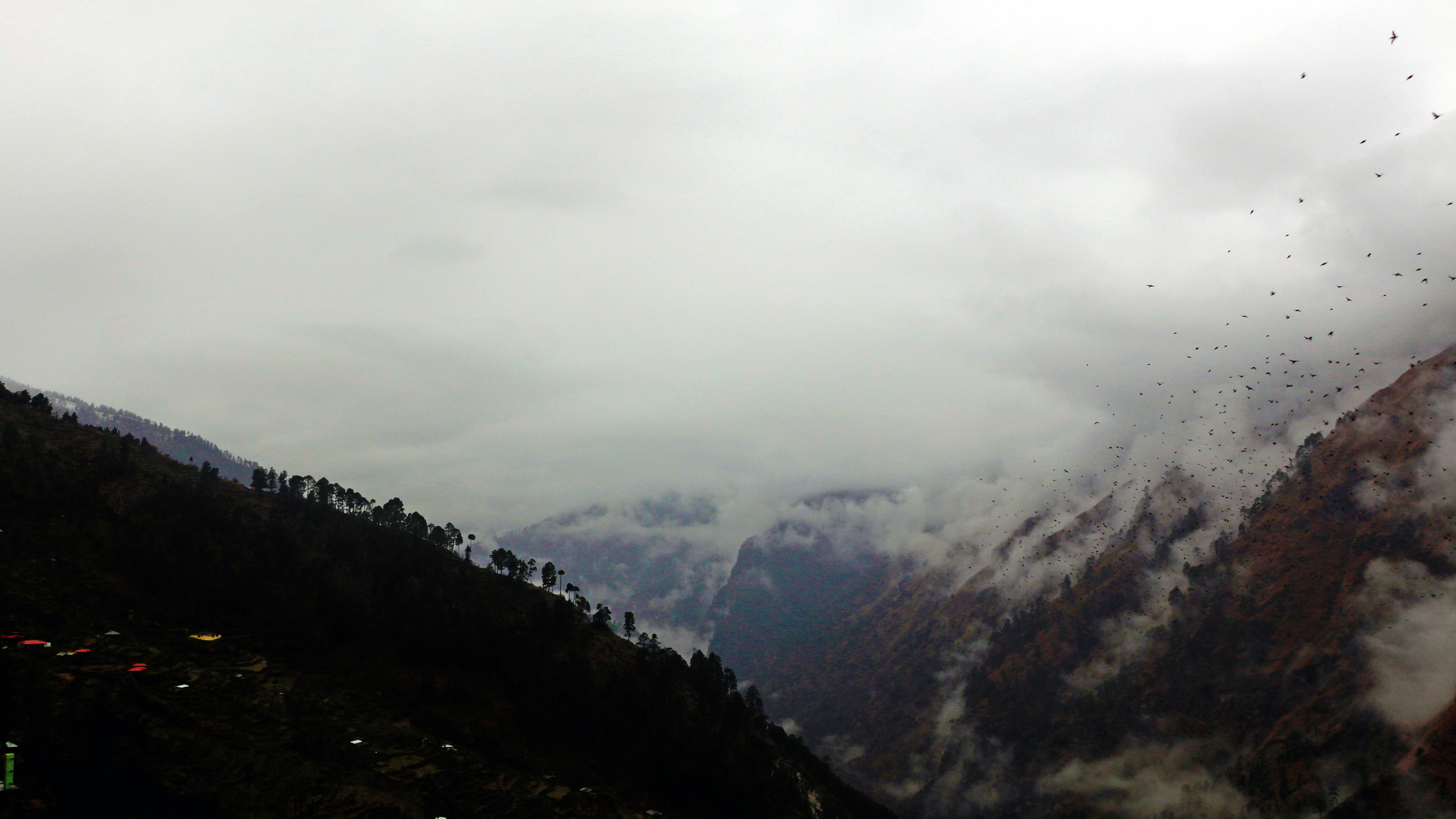 Photo by neha1301039