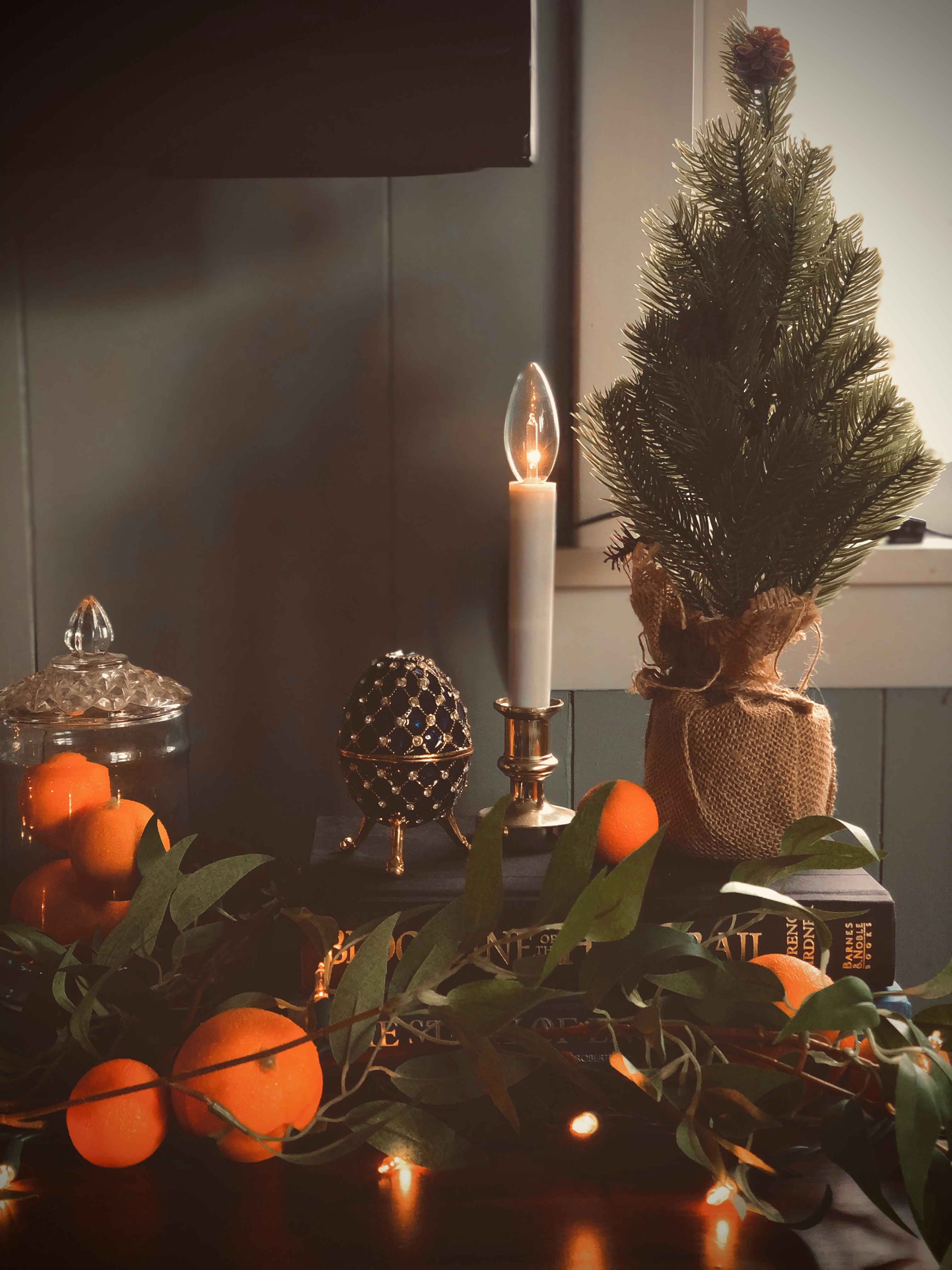 Green and brown pine tree with lighted candle