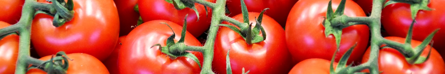 red tomatoes on green leaves