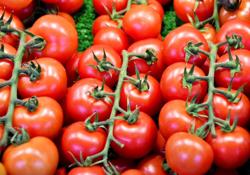 red tomatoes on green leaves