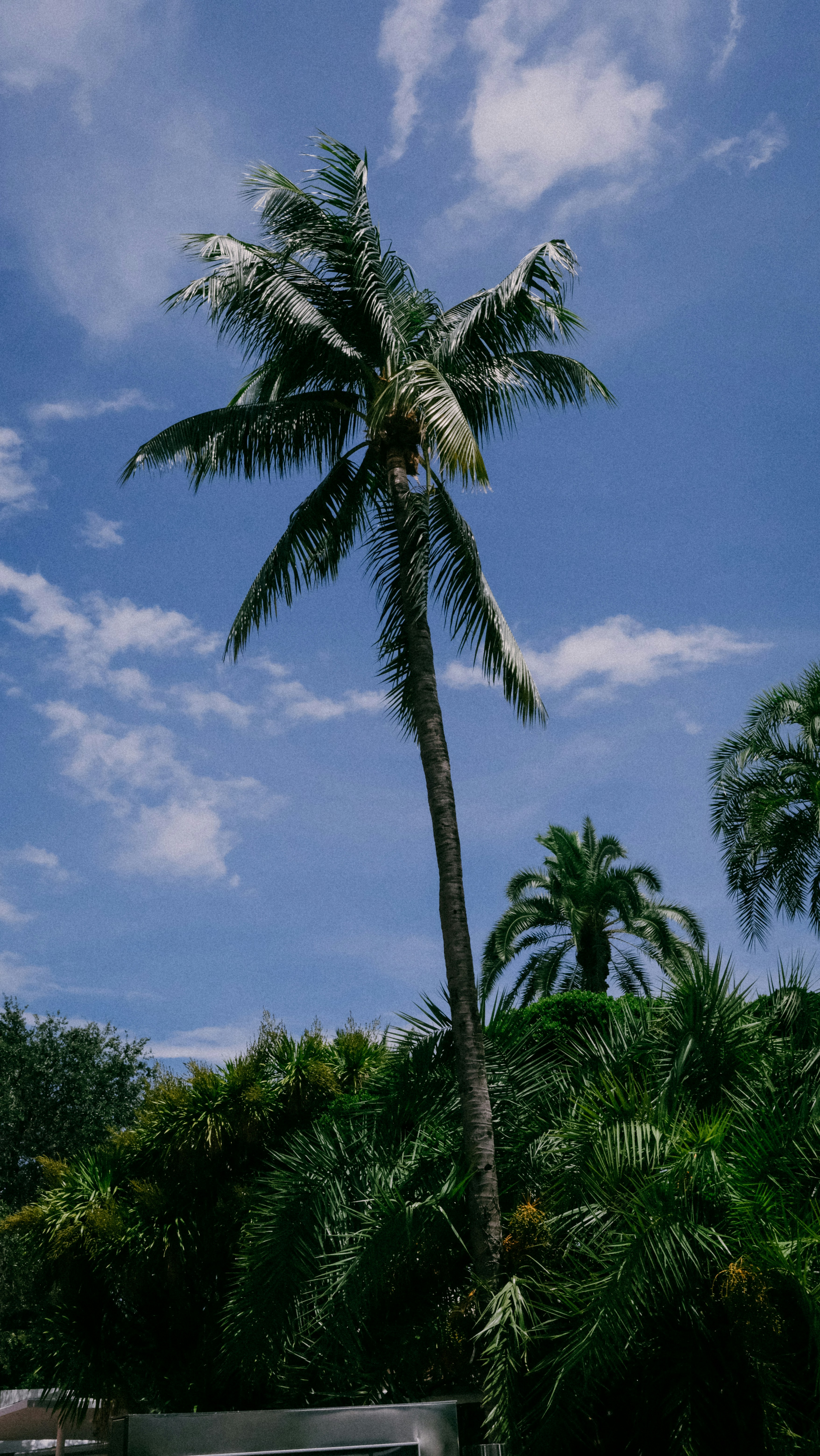 Photo by reganography